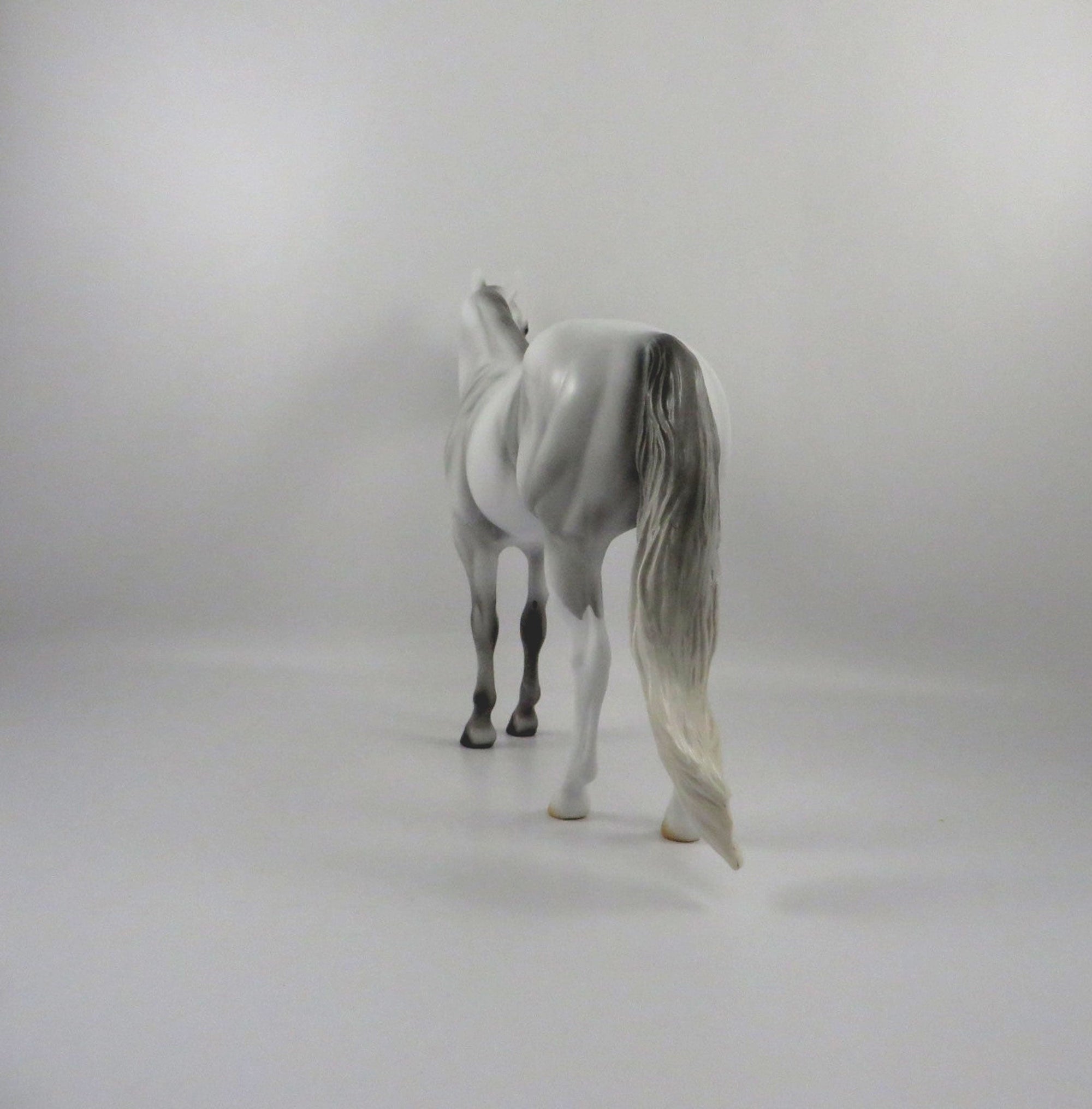 Rainbows End-OOAK Dapple Light Grey ISH 2/26/21