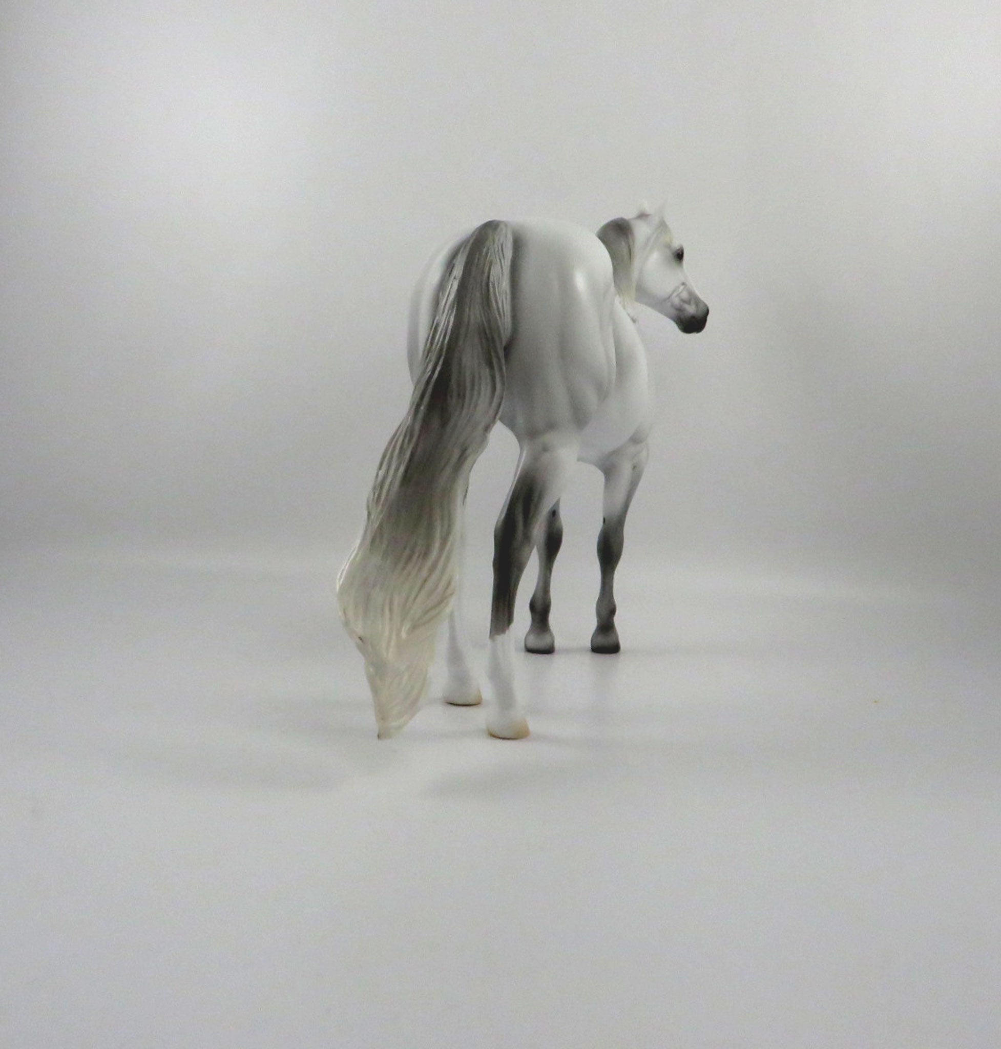 Rainbows End-OOAK Dapple Light Grey ISH 2/26/21