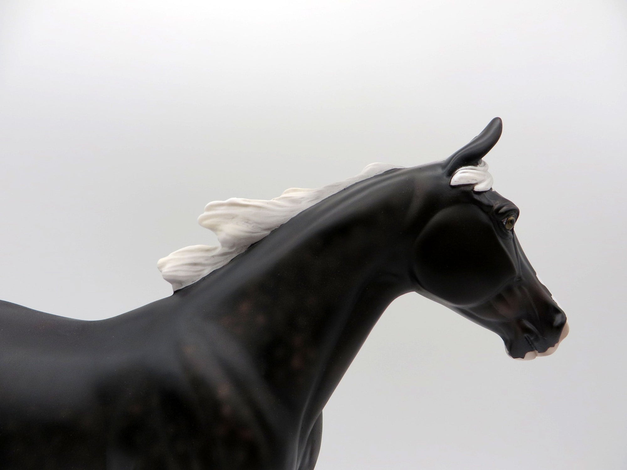 Rainfall-OOAK Palouse  SHCF 2021