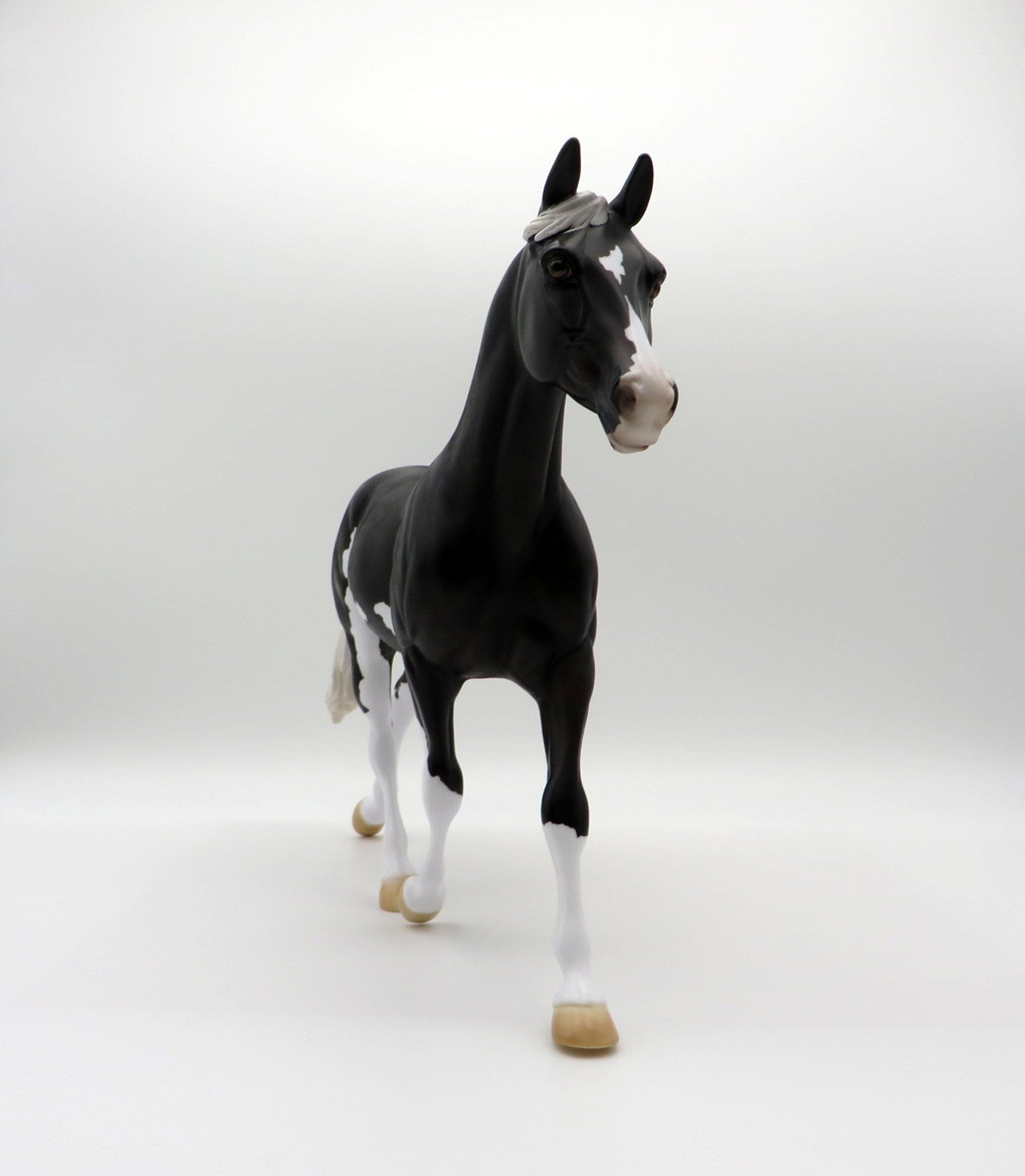 Rainfall-OOAK Palouse  SHCF 2021