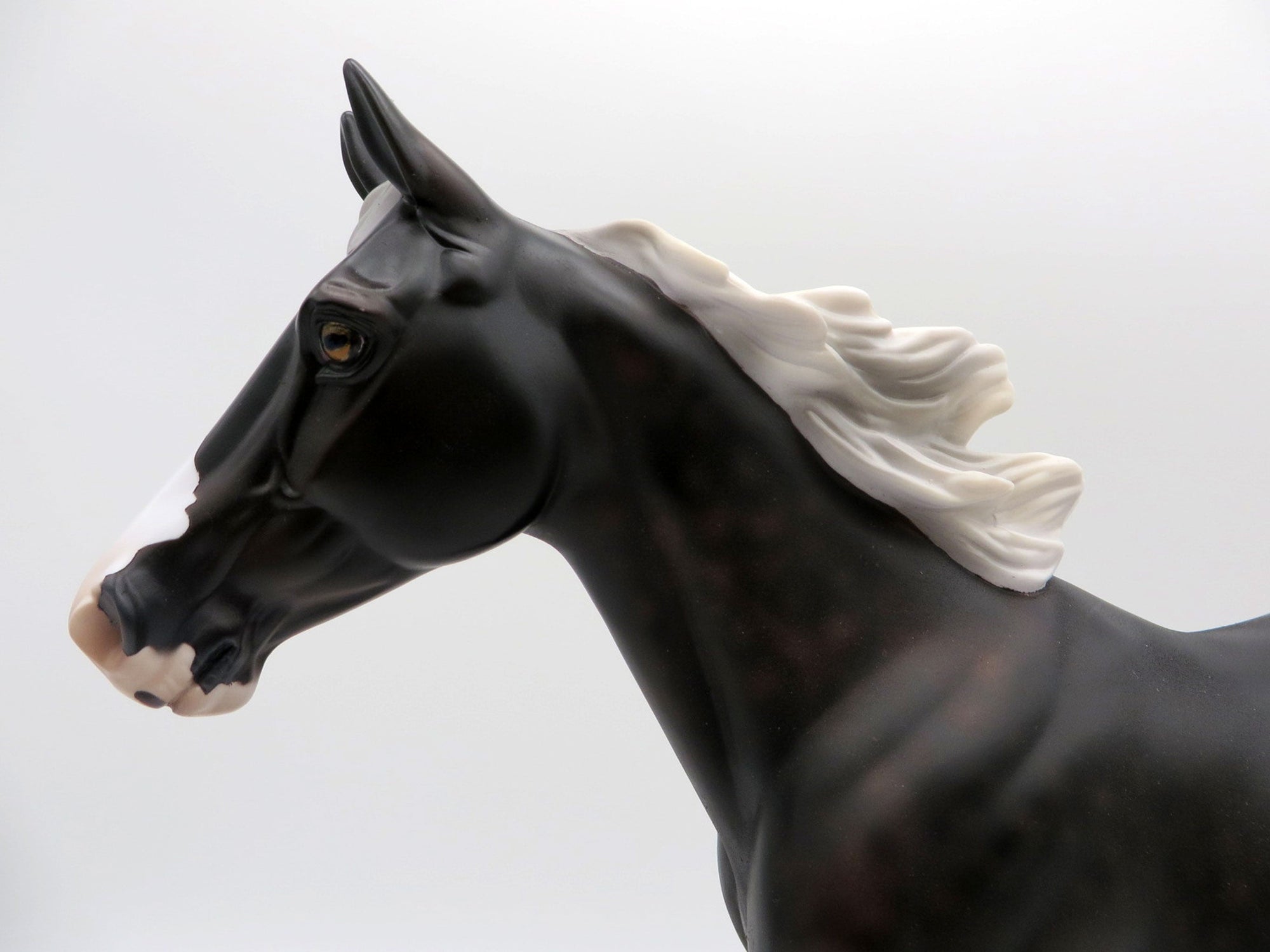 Rainfall-OOAK Palouse  SHCF 2021