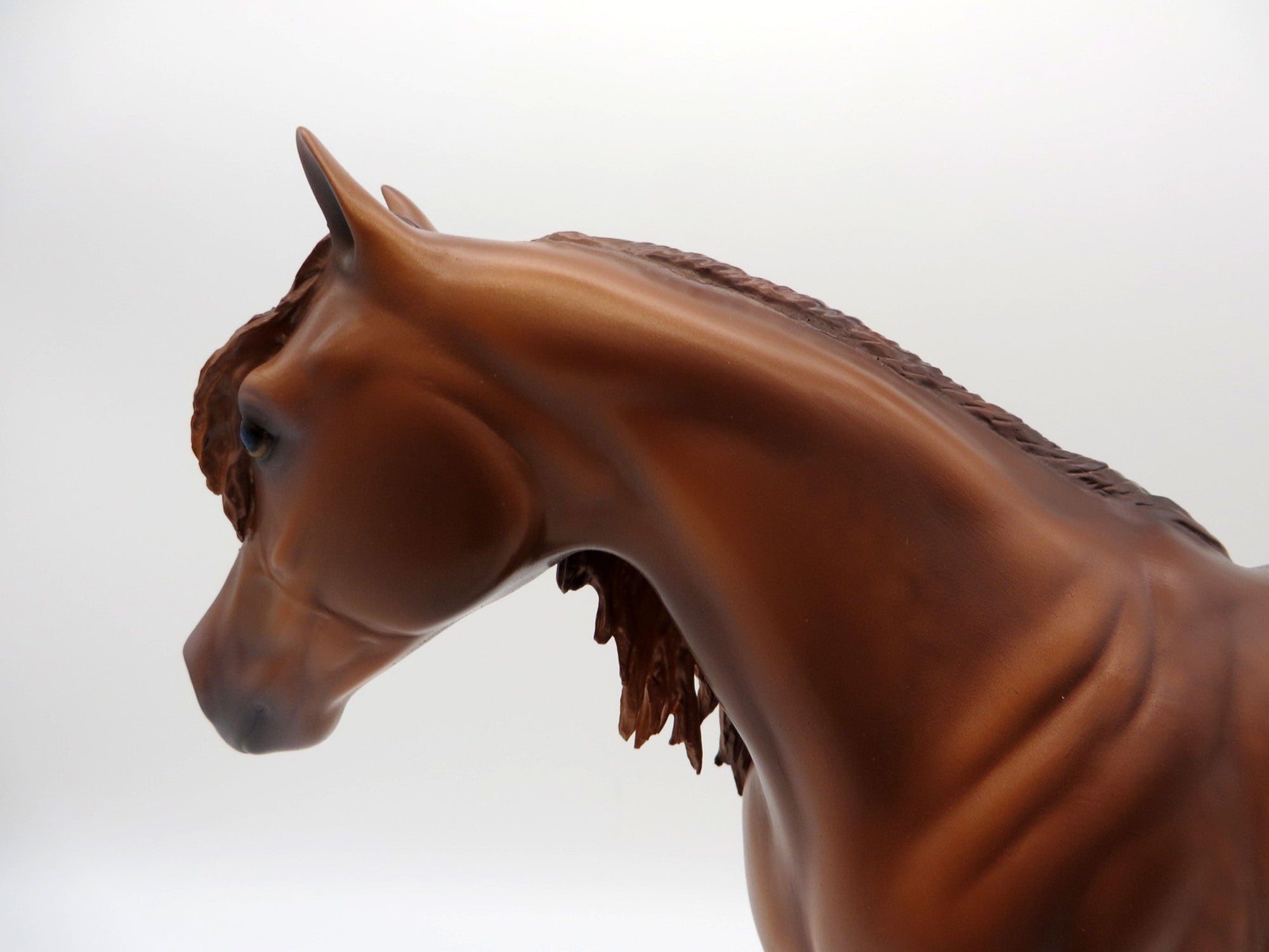 Rainier-OOAK Dapple Chestnut ISH Painted By Caroline Boydston 6/22/21