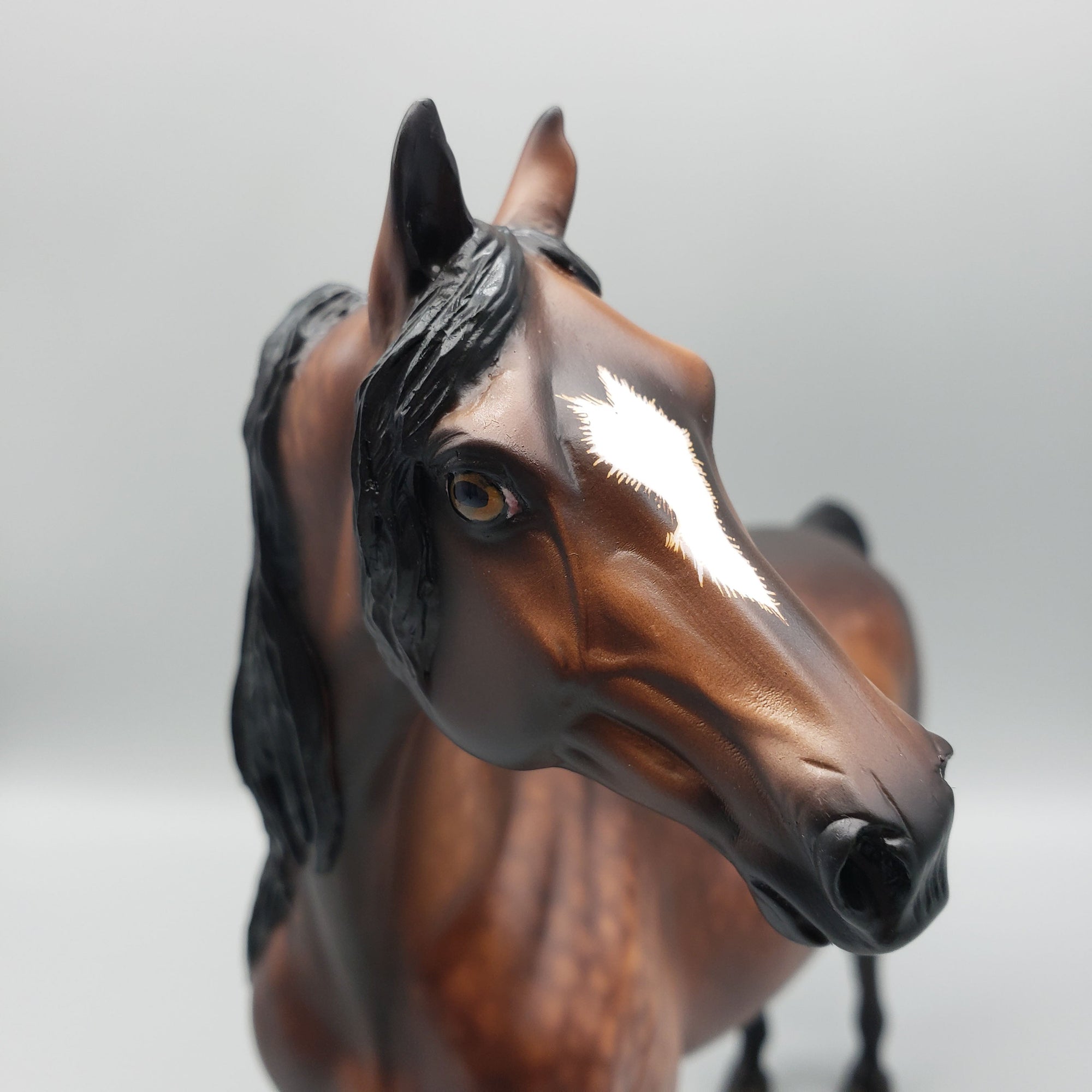 Raj OOAK Dappled Bay Morgan By Sheryl Leisure Best Offers 6/12/23