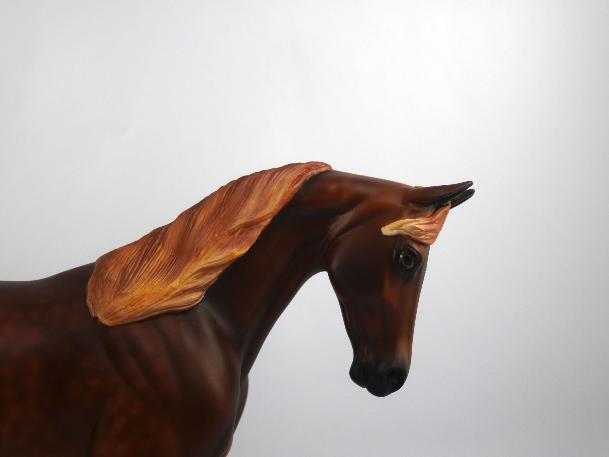 Ralph the Mouth-OOAK Dapple Chestnut Thoroughbred Painted by Sheryl Leisure 1/20