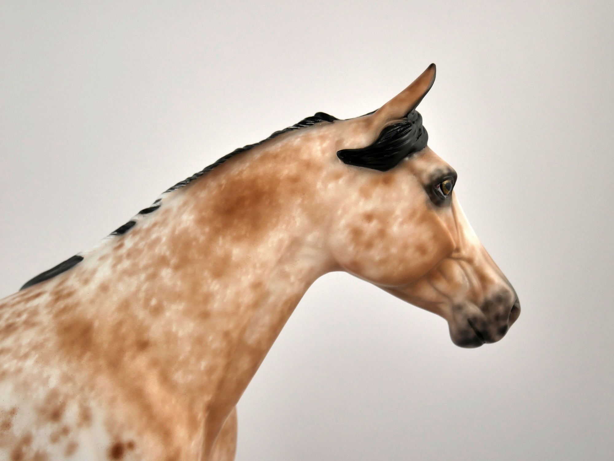 RAMONA -OOAK BAY APPALOOSA PALOOSE BY SHERYL LEISURE 12/03/20
