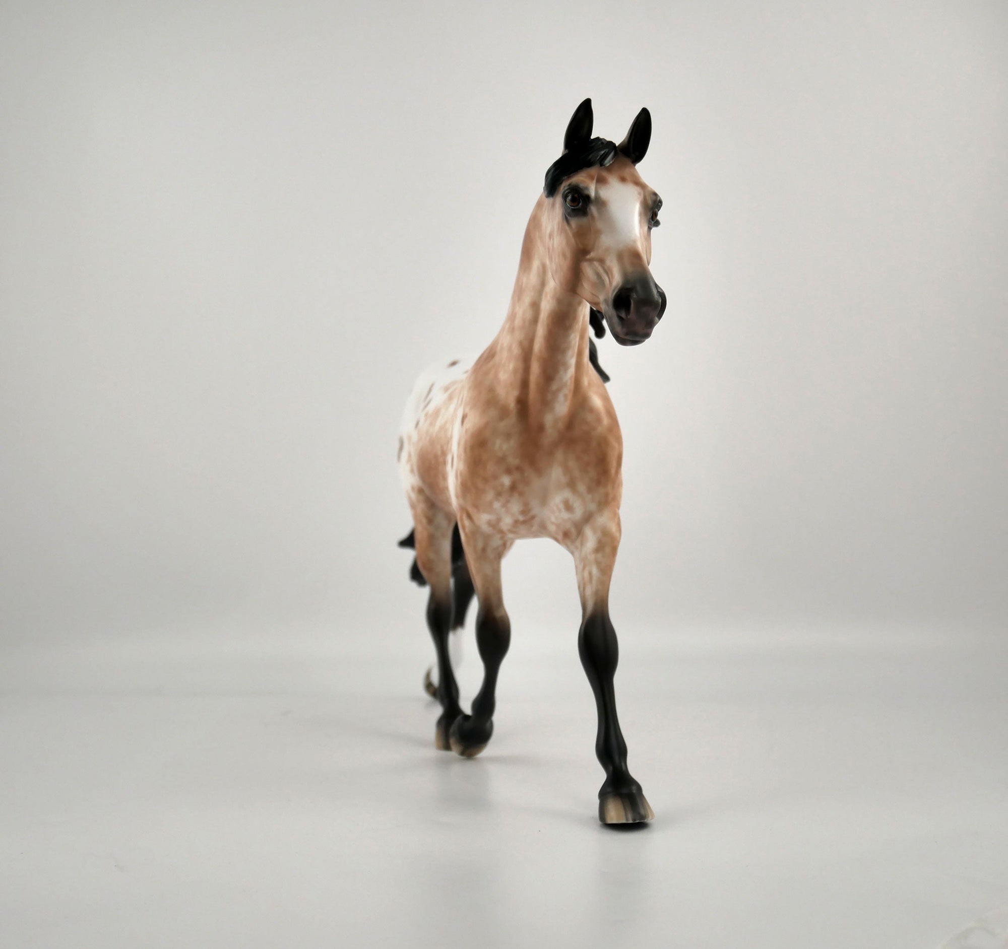 RAMONA -OOAK BAY APPALOOSA PALOOSE BY SHERYL LEISURE 12/03/20