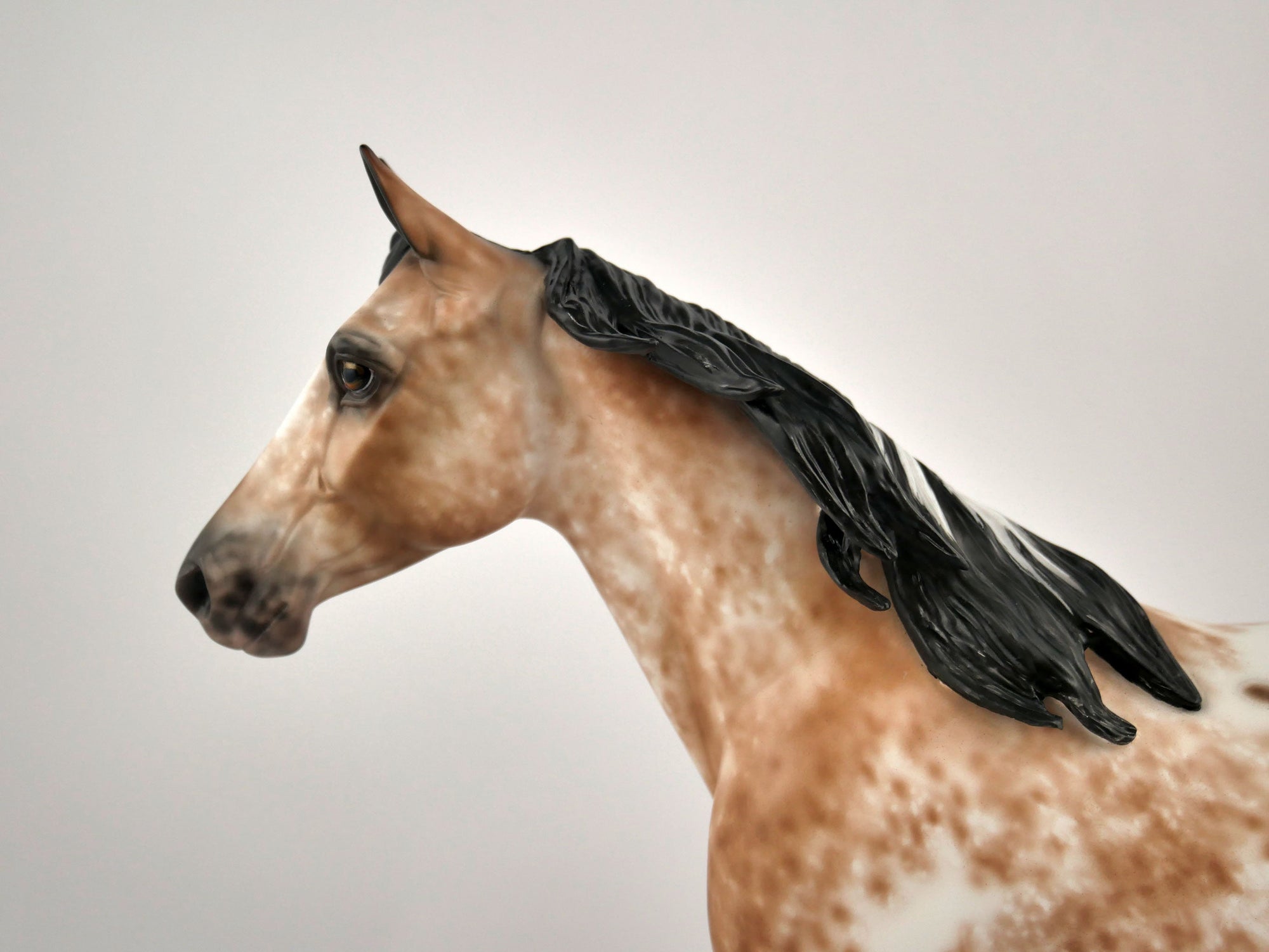 RAMONA -OOAK BAY APPALOOSA PALOOSE BY SHERYL LEISURE 12/03/20