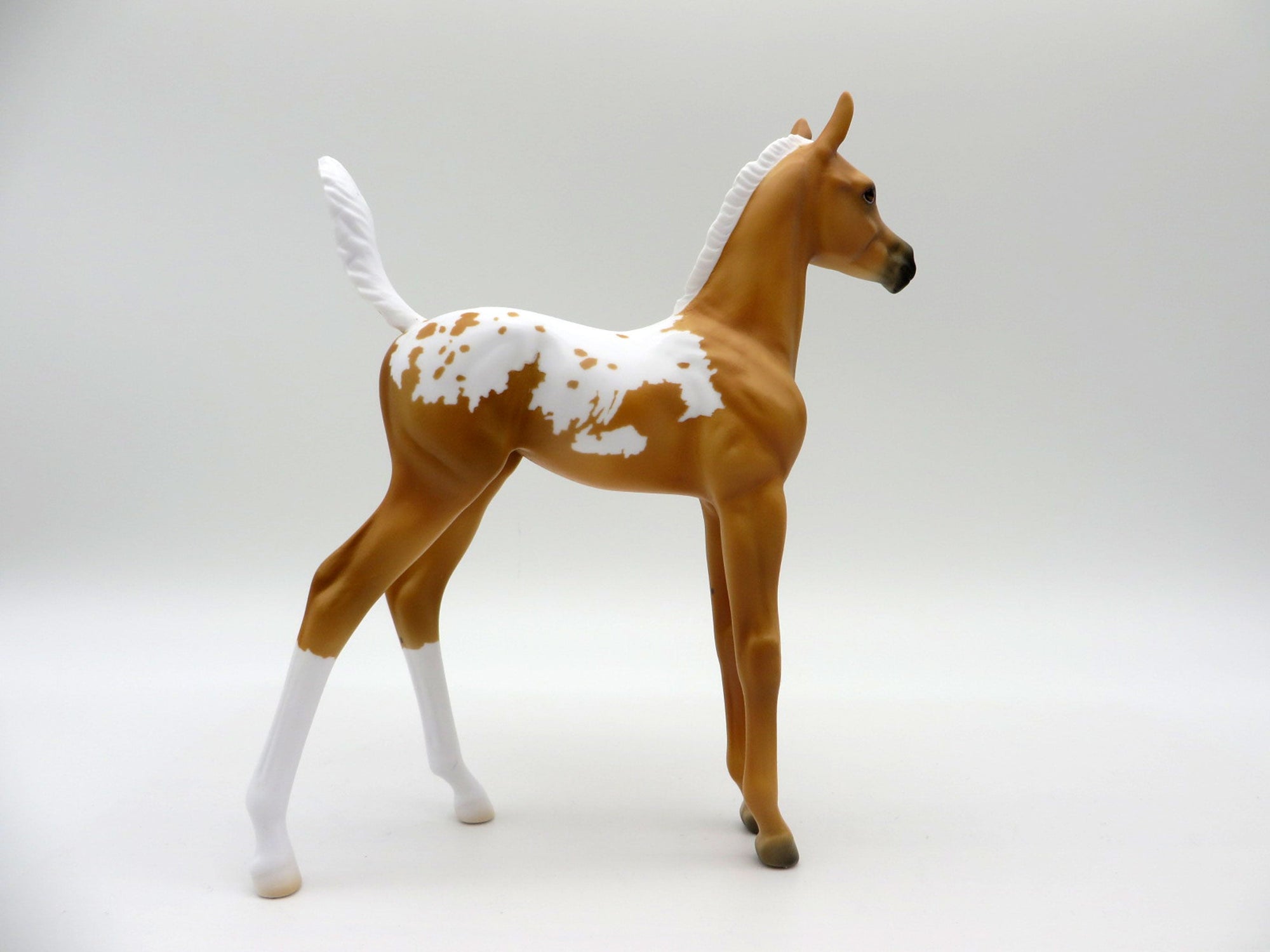 Rana-LE-7 Palomino Appaloosa Arabian Foal 4/16/21