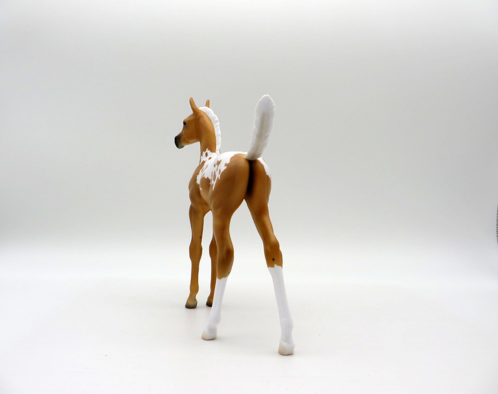 Rana-LE-7 Palomino Appaloosa Arabian Foal 4/16/21