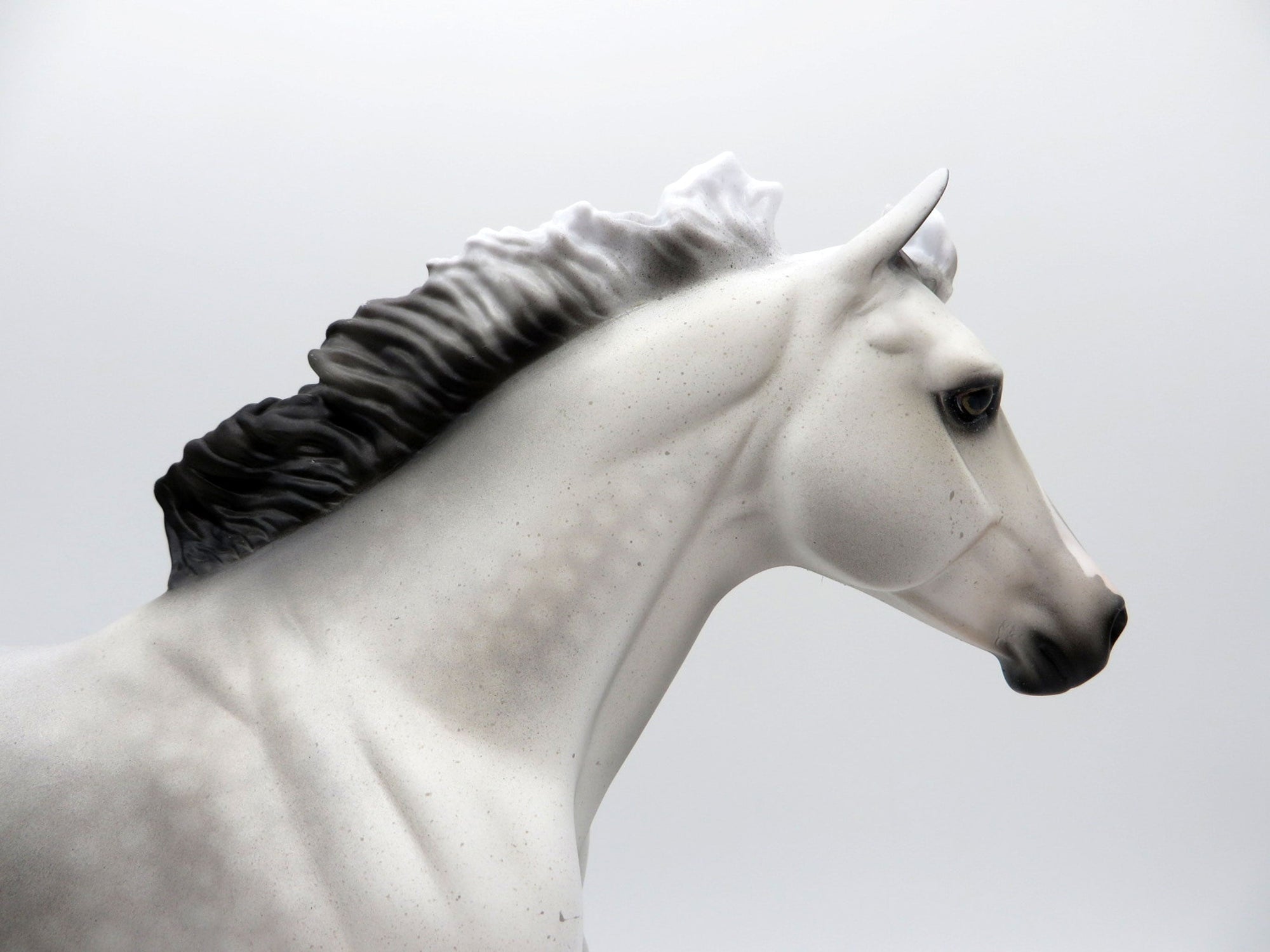 Rapheal-OOAK Dapple Grey Foundation Stock Horse Equilocity 2021 Painted by Audrey Dixon