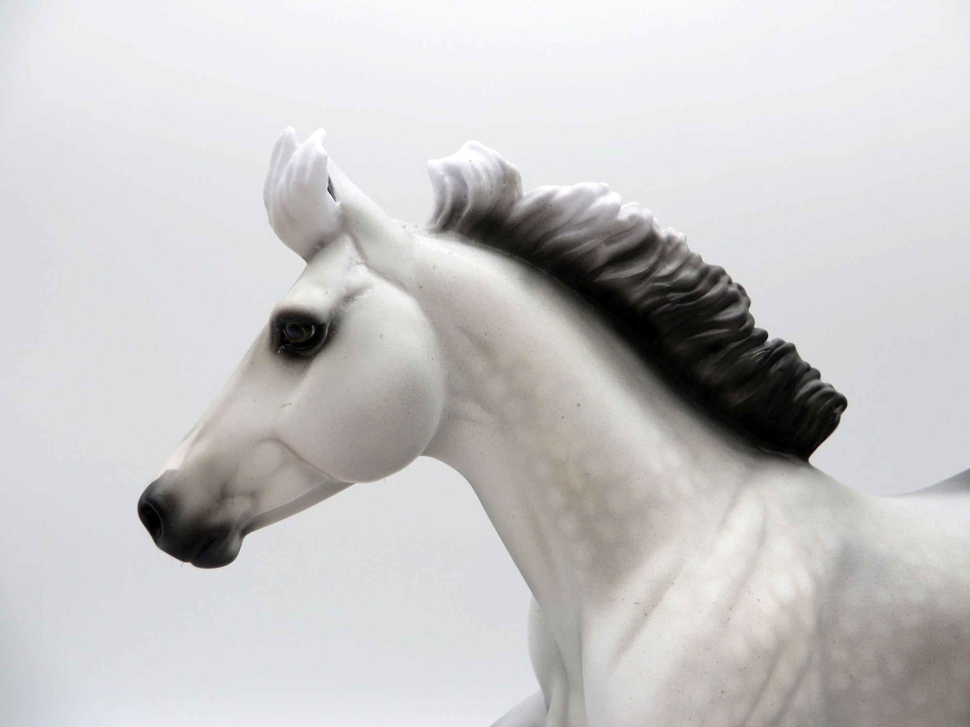 Rapheal-OOAK Dapple Grey Foundation Stock Horse Equilocity 2021 Painted by Audrey Dixon