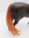 Rapid Fire-OOAK Dapple Liver Chestnut Morgan By Myla Pearce 5/19/23