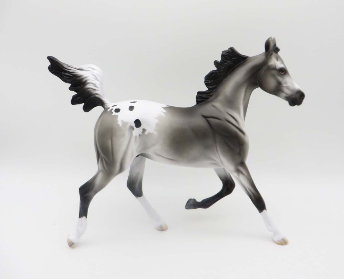 Rascal-LE-4 Appaloosa Yearling By Kayla P&C 23