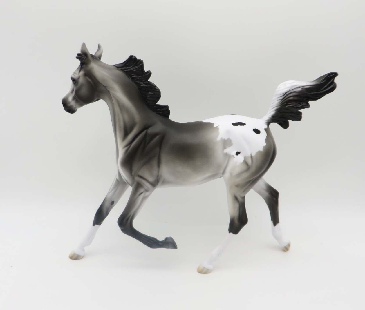 Rascal-LE-4 Appaloosa Yearling By Kayla P&amp;C 23