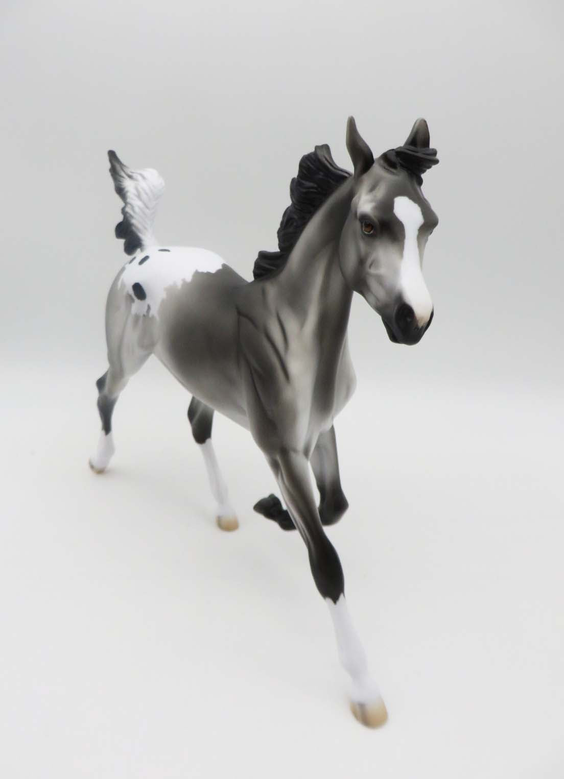 Rascal-LE-4 Appaloosa Yearling By Kayla P&amp;C 23