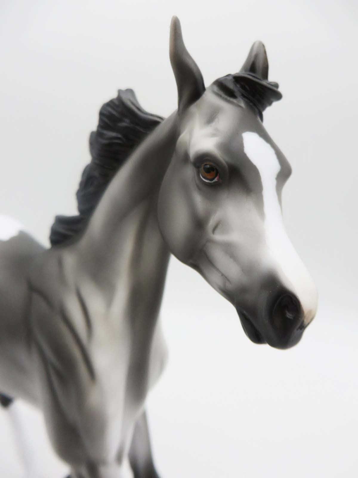 Rascal-LE-4 Appaloosa Yearling By Kayla P&amp;C 23