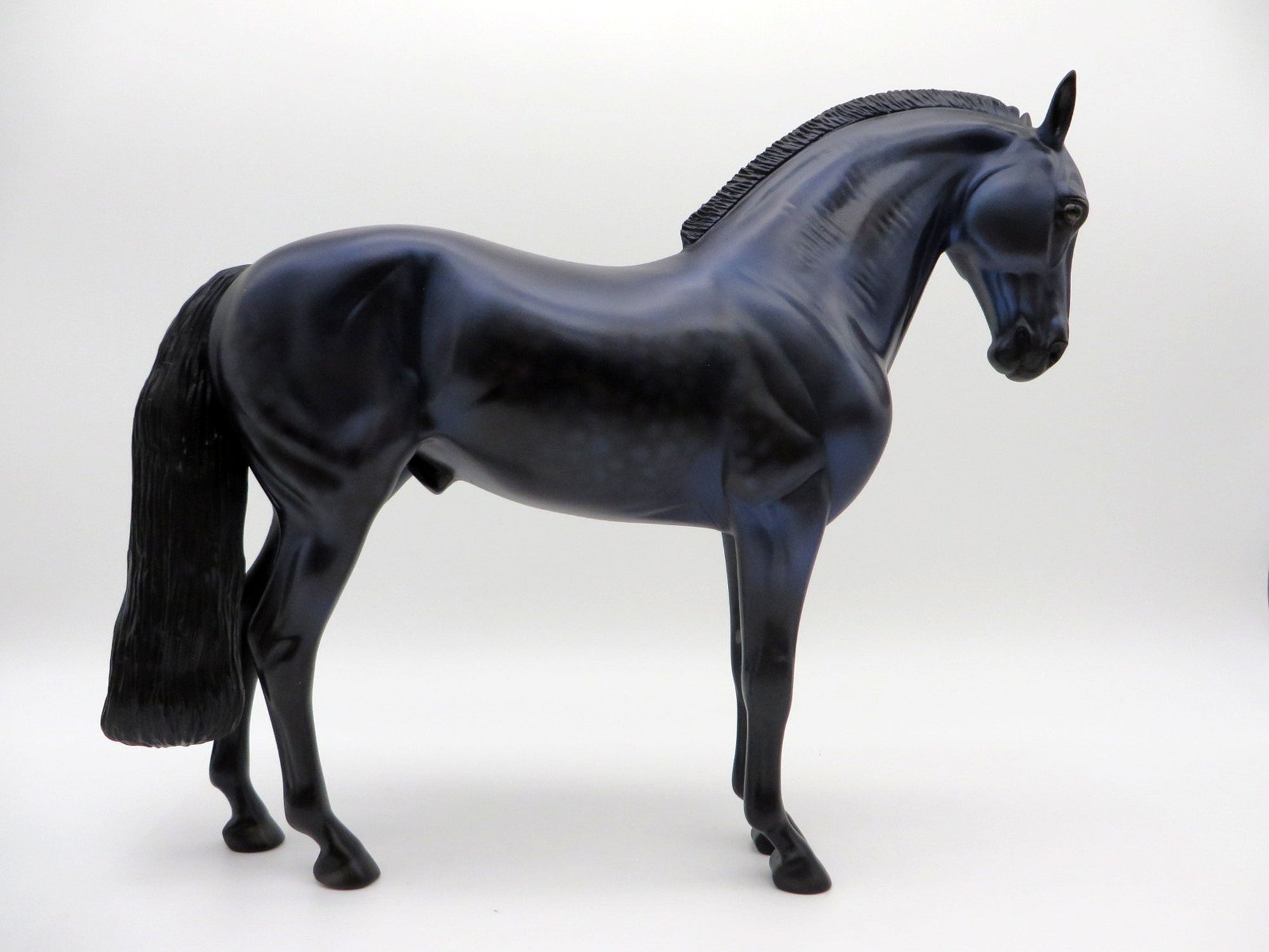 RAVEN-LE-30  Andalusian Painted By Audrey Dixon 8/13/21