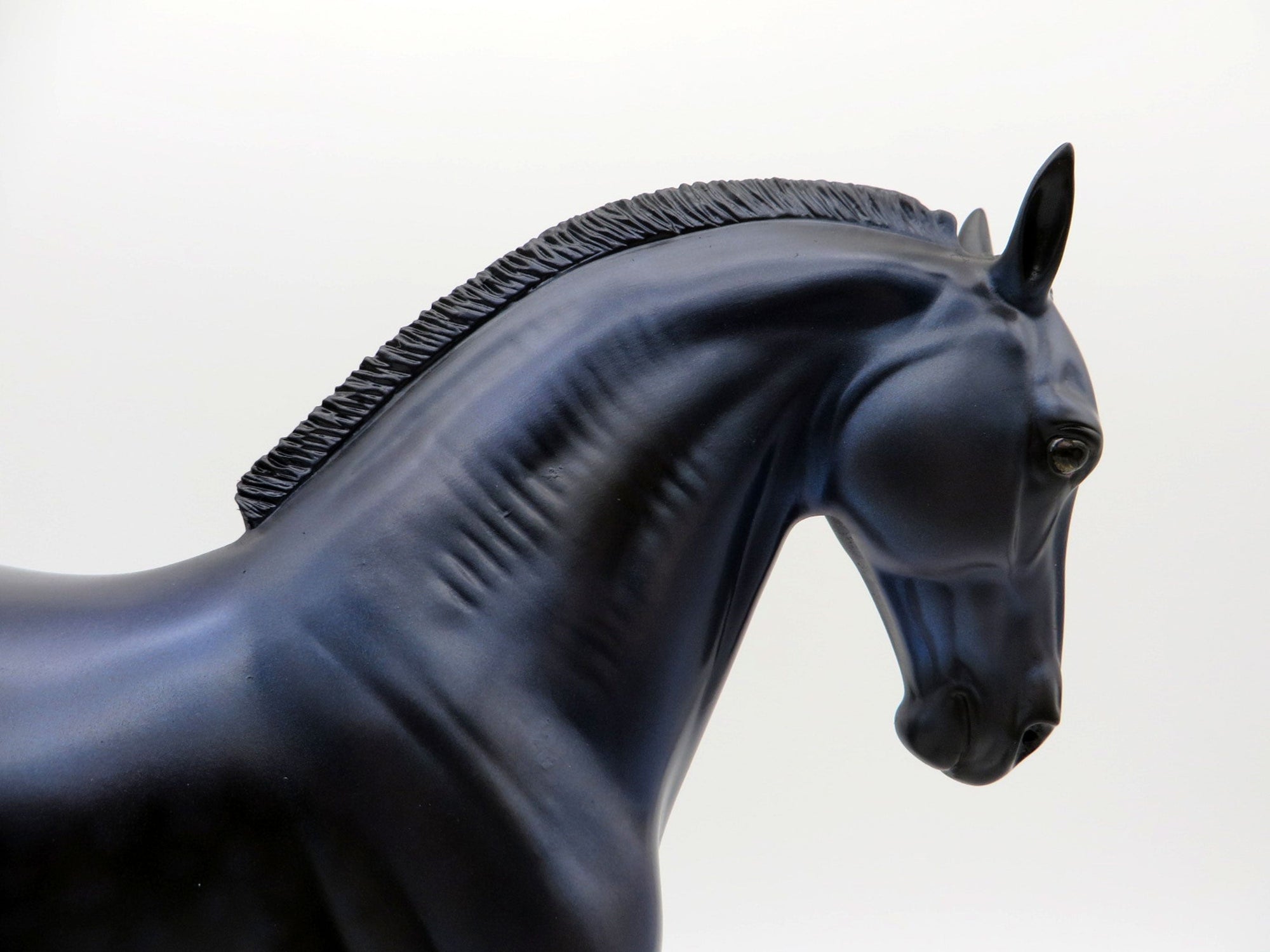 RAVEN-LE-30  Andalusian Painted By Audrey Dixon 8/13/21