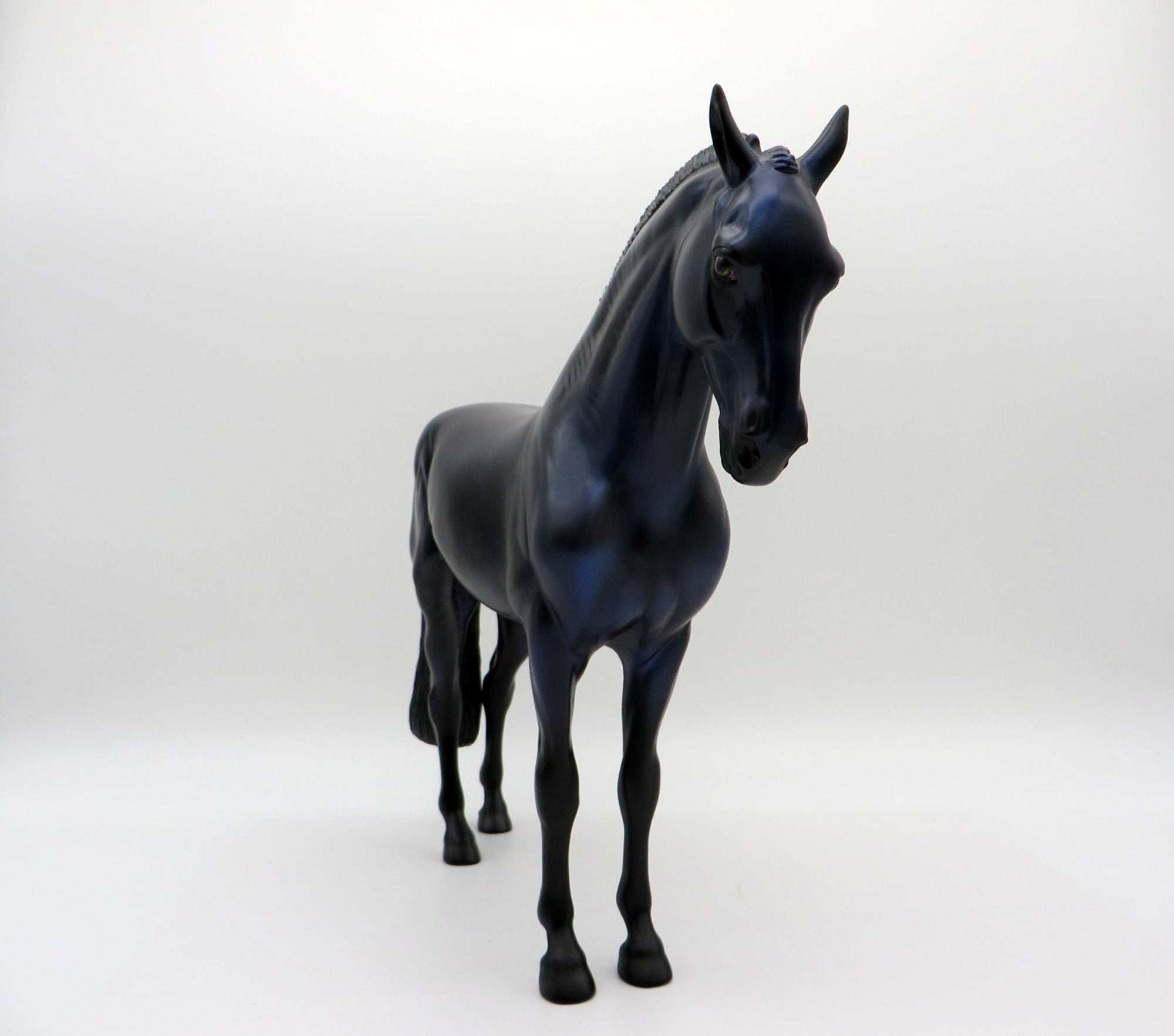 RAVEN-LE-30  Andalusian Painted By Audrey Dixon 8/13/21