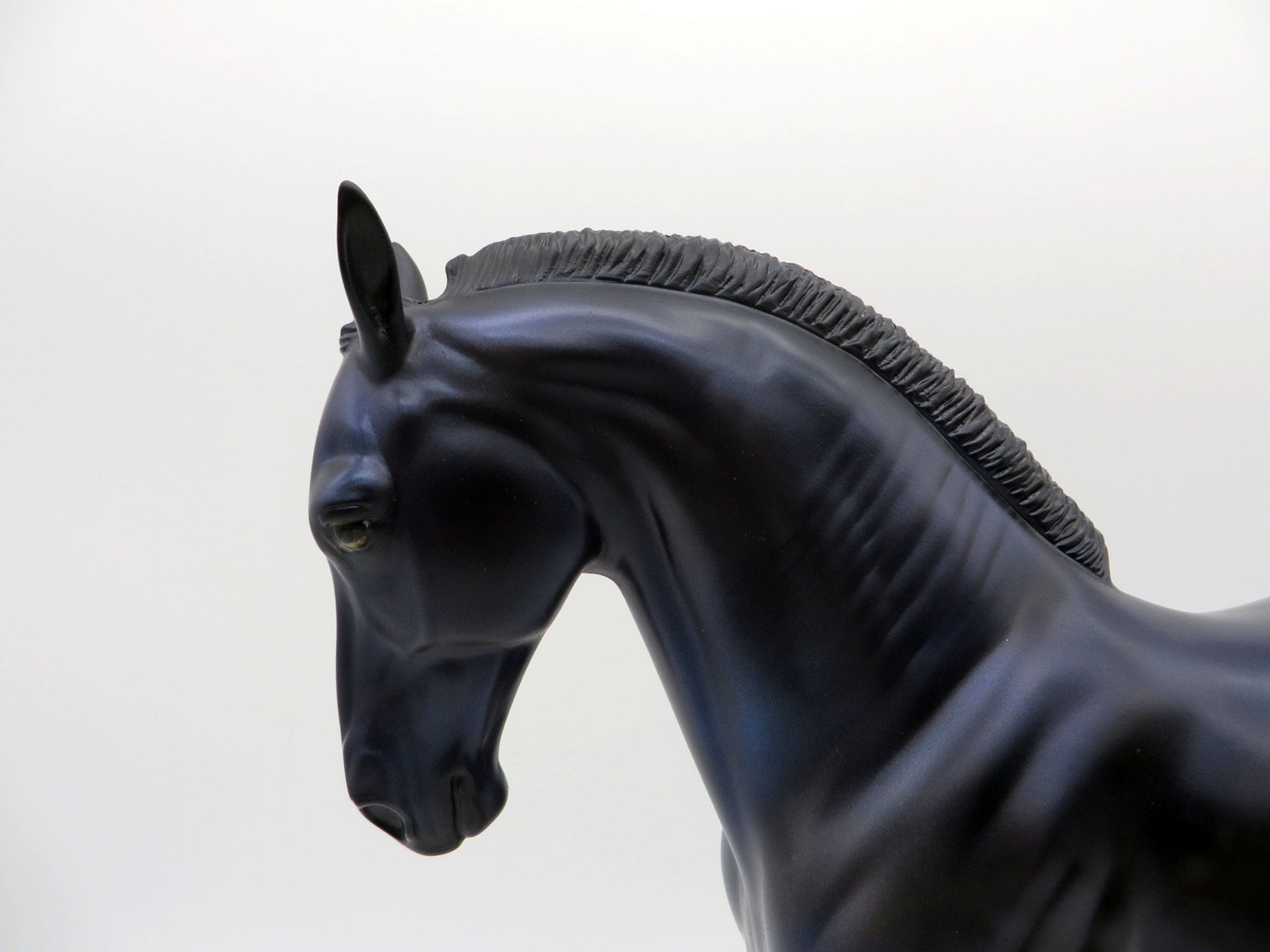 RAVEN-LE-30  Andalusian Painted By Audrey Dixon 8/13/21