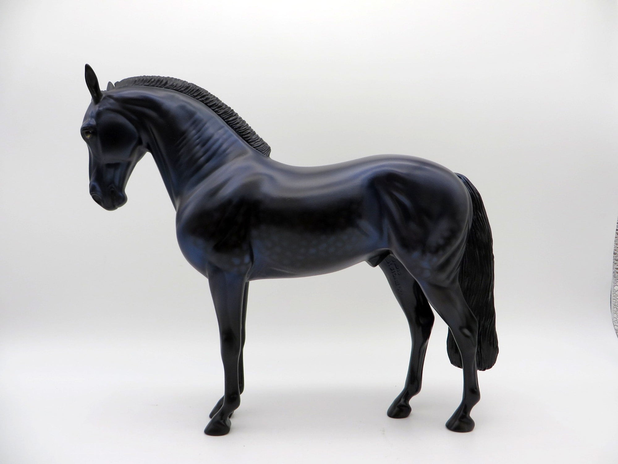 RAVEN-LE-30  Andalusian Painted By Audrey Dixon 8/13/21