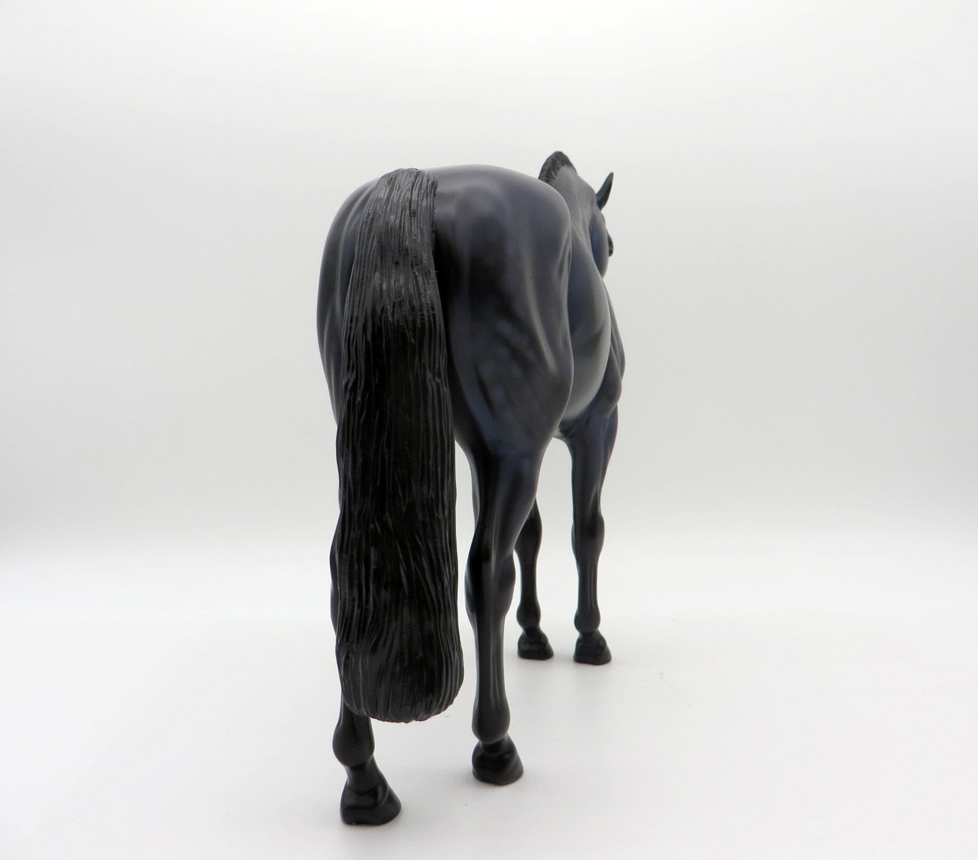 RAVEN-LE-30  Andalusian Painted By Audrey Dixon 8/13/21