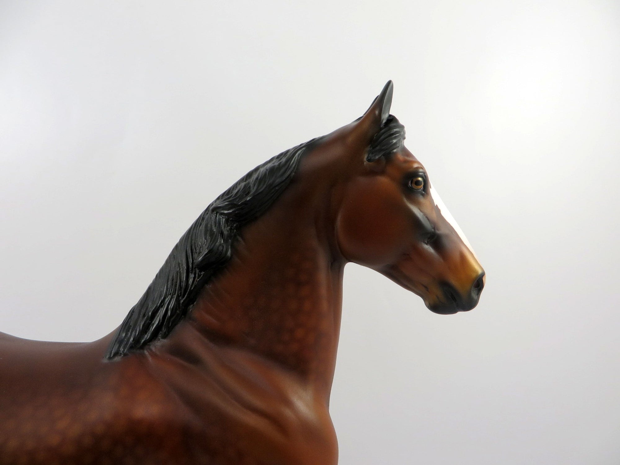 Red Eye Flight-LE-10 Dapple Bay Paint Trotting Draft by Audrey Dixon 3/12/21