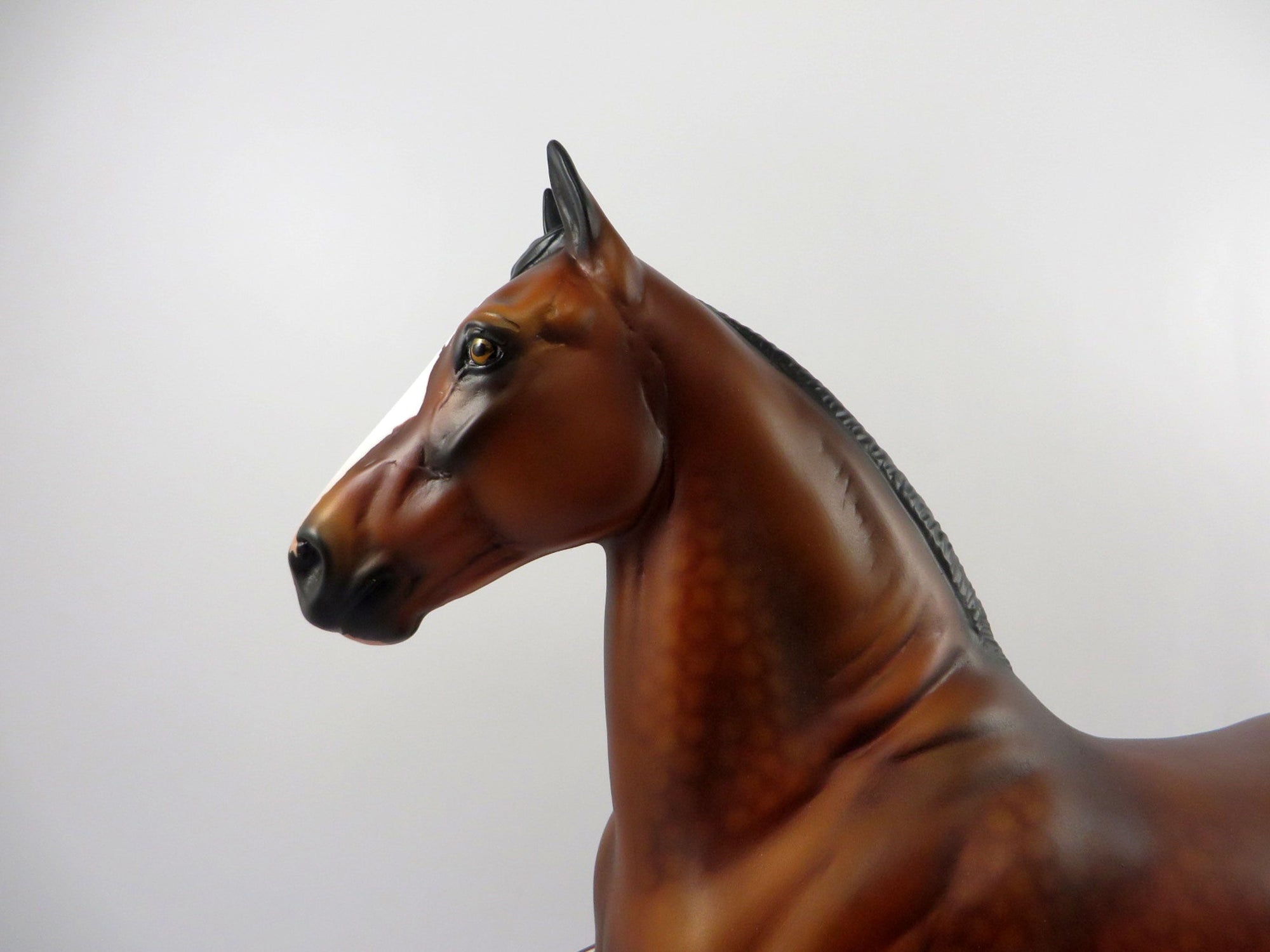 Red Eye Flight-LE-10 Dapple Bay Paint Trotting Draft by Audrey Dixon 3/12/21