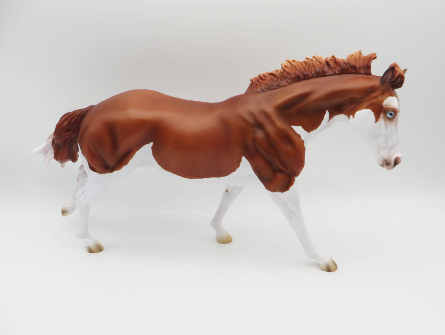 Mishka - LE-15 Running Stock Horse Husky-By Ashley Palmer - P&amp;C 23