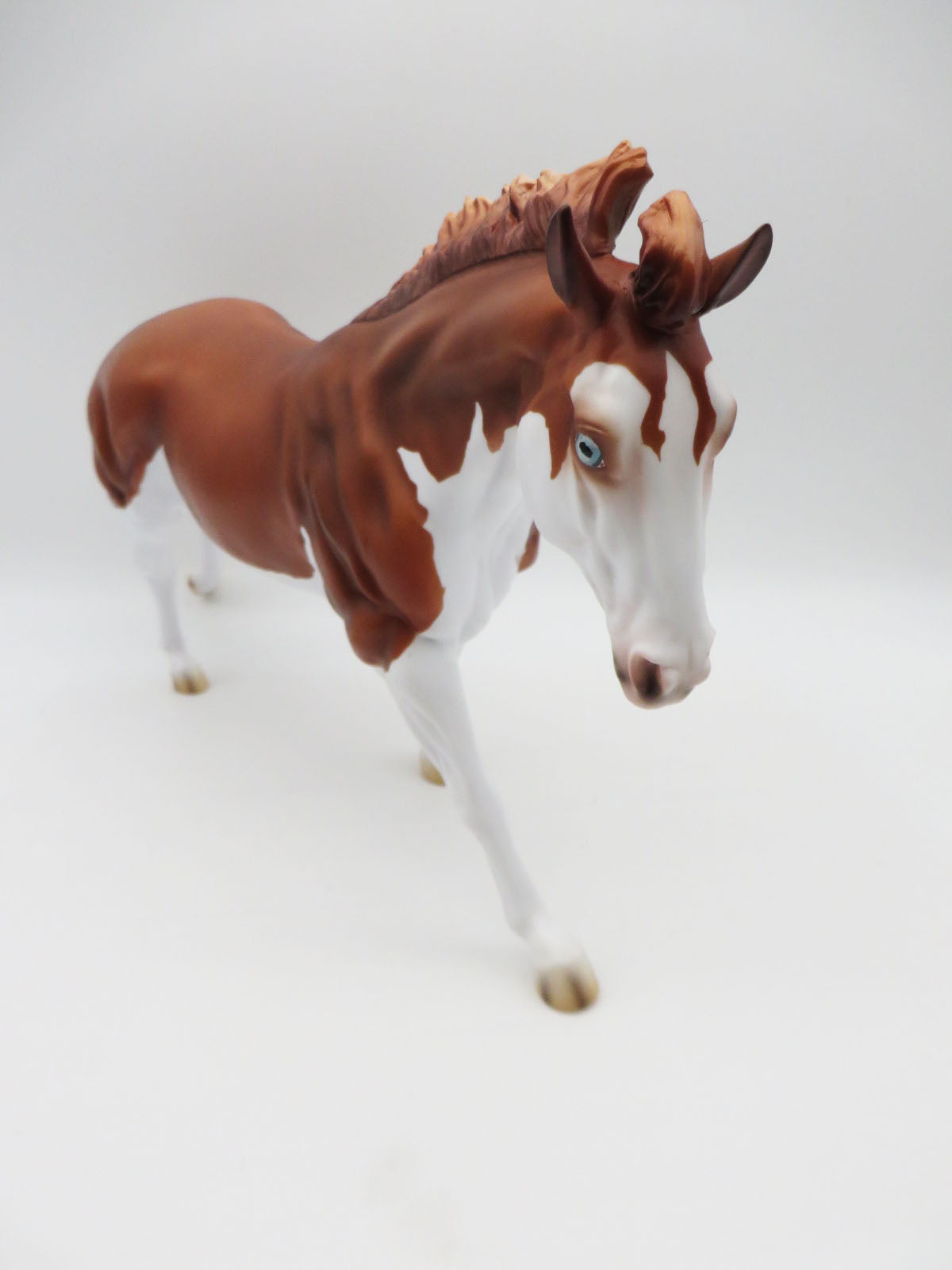 KIDS AUCTION EQ23 Mishka - LE-15 Running Stock Horse Husky-By Ashley Palmer