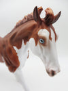 Mishka - LE-15 Running Stock Horse Husky-By Ashley Palmer - P&amp;C 23