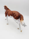 KIDS AUCTION EQ23 Mishka - LE-15 Running Stock Horse Husky-By Ashley Palmer