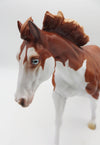 KIDS AUCTION EQ23 Mishka - LE-15 Running Stock Horse Husky-By Ashley Palmer