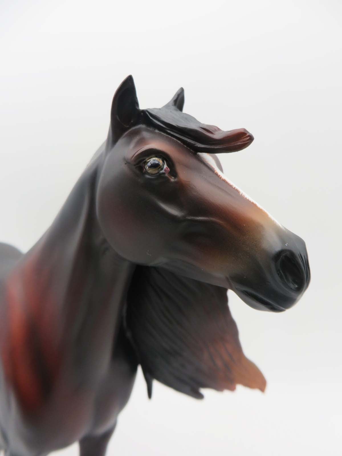 Red Rock- OOAK -Blood Bay Spanish Mustang By Angela Marleau  SHCF23