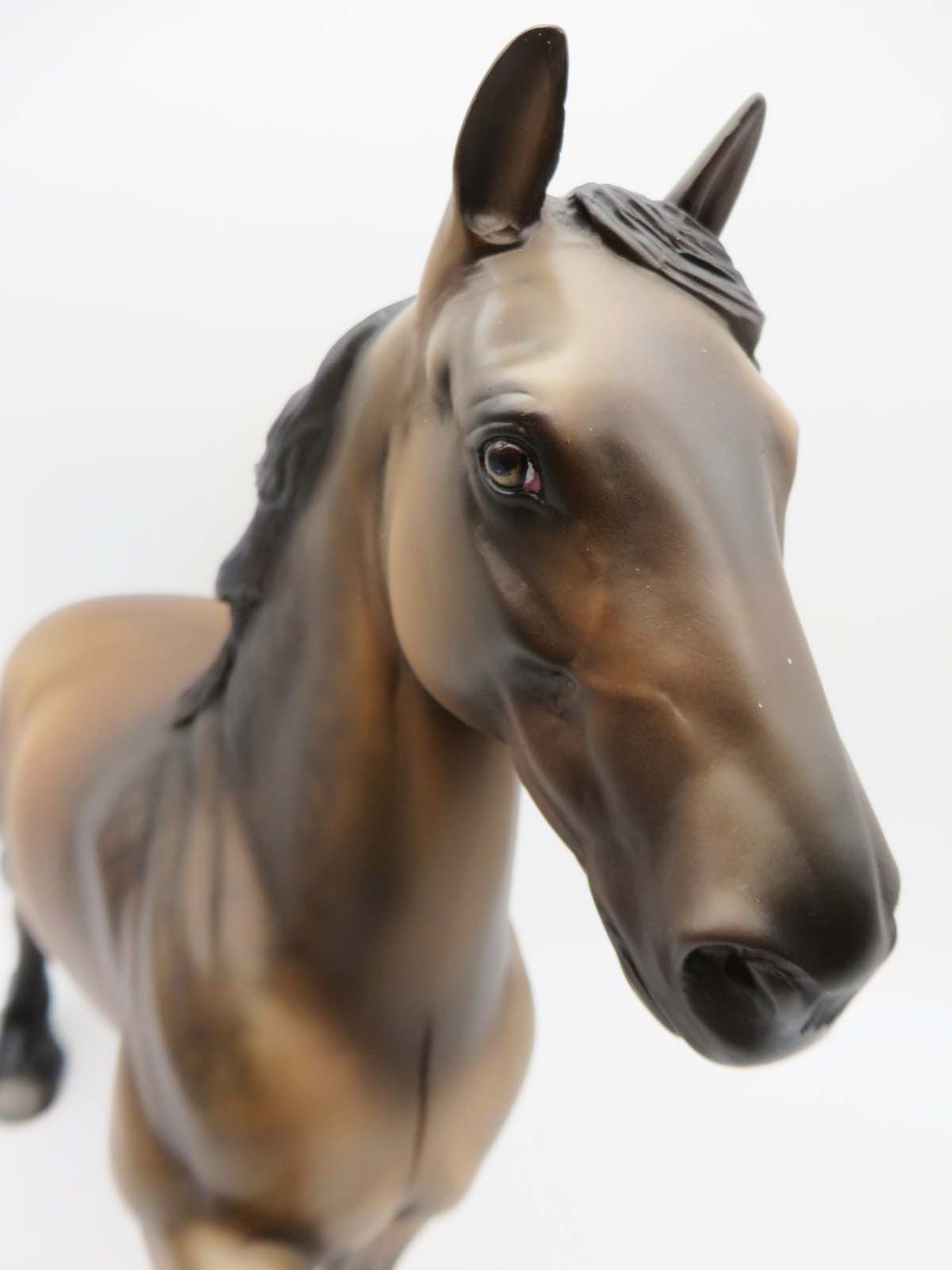 Redfield - OOAK - Sooty Buckskin Trotting Drafter By Jess Hamill - P&amp;C 23