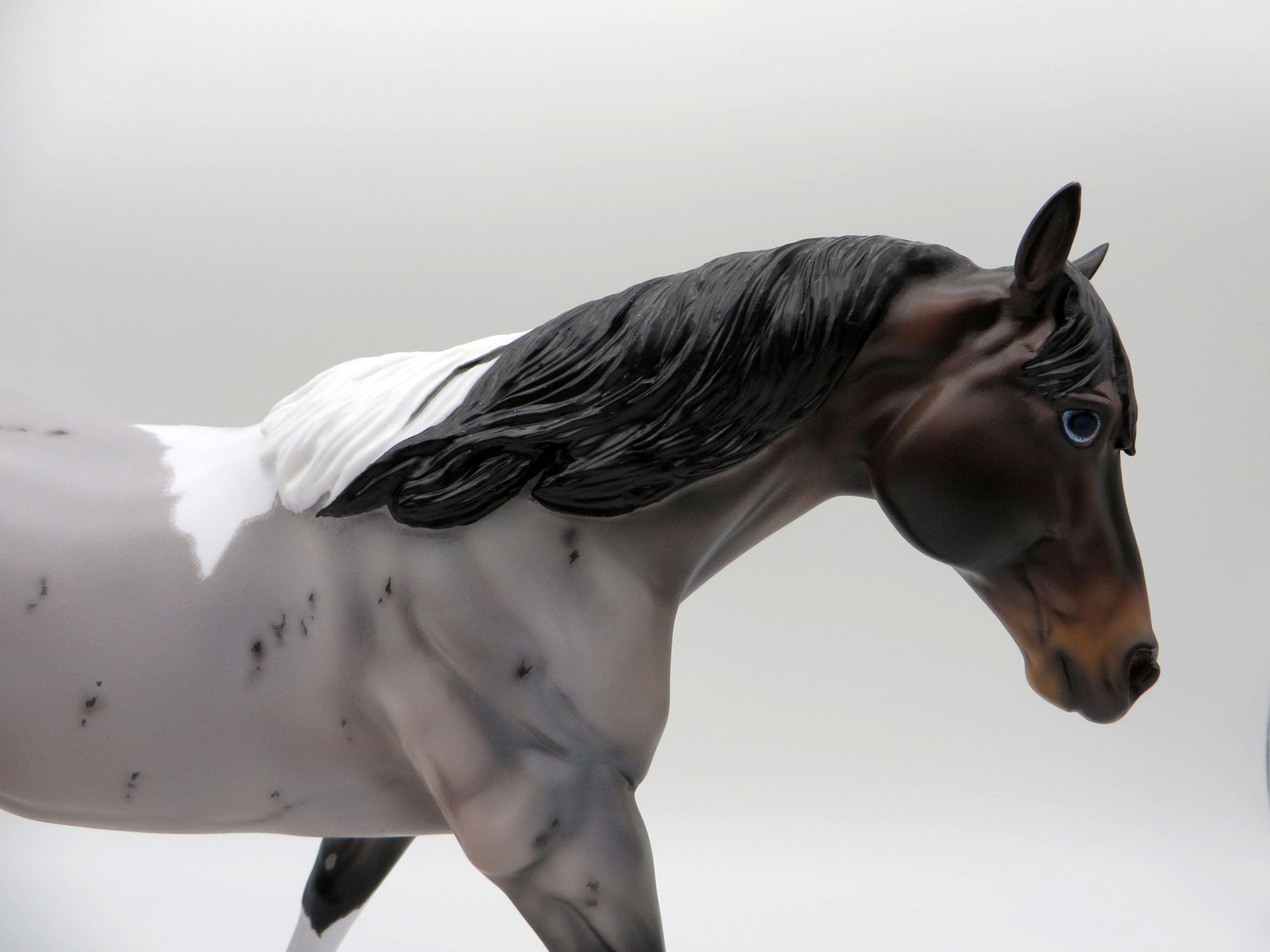 Redondo-OOAK Blue Roan Running Stock Horse Painted by Caroline Boydston 10/18/21