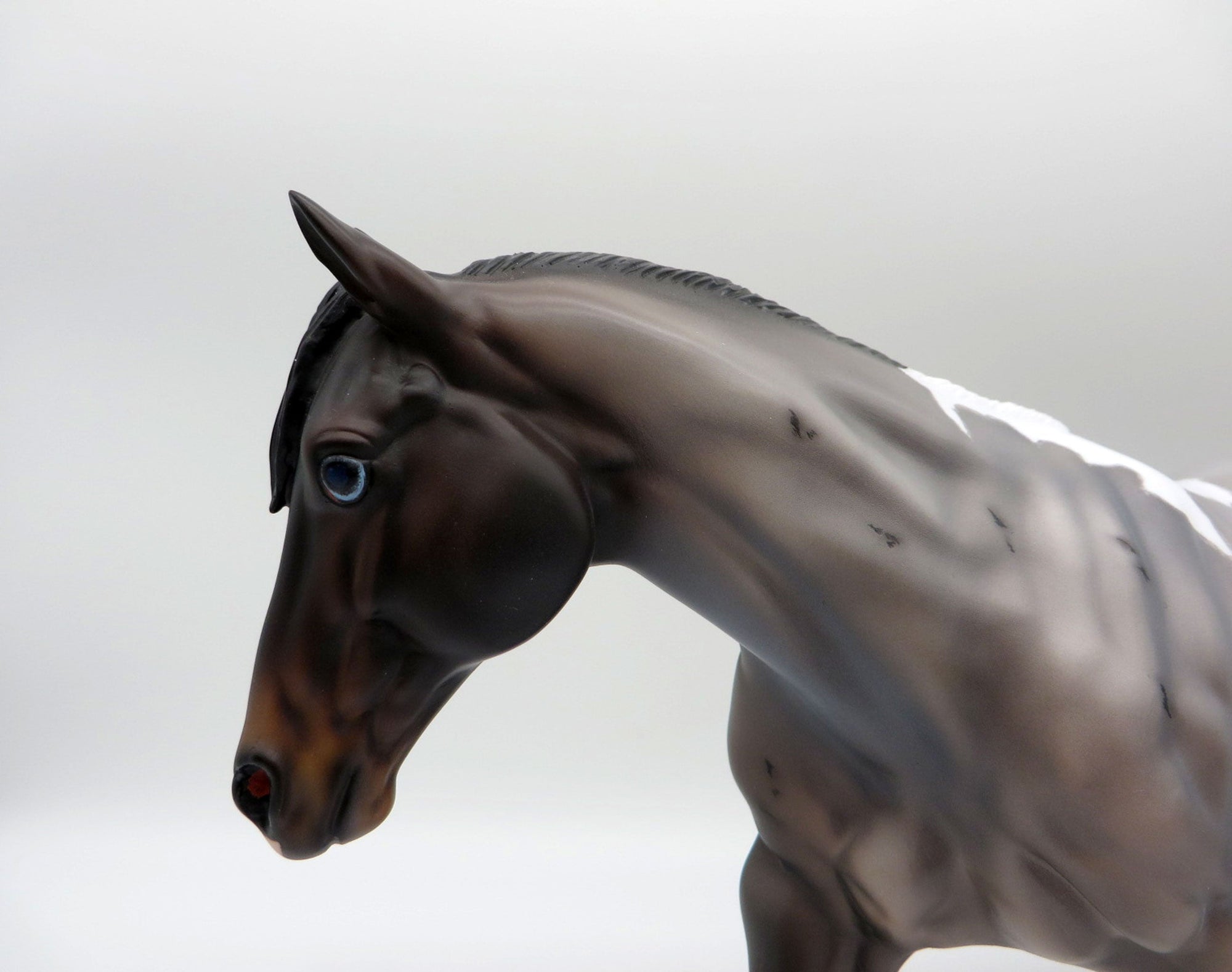 Redondo-OOAK Blue Roan Running Stock Horse Painted by Caroline Boydston 10/18/21