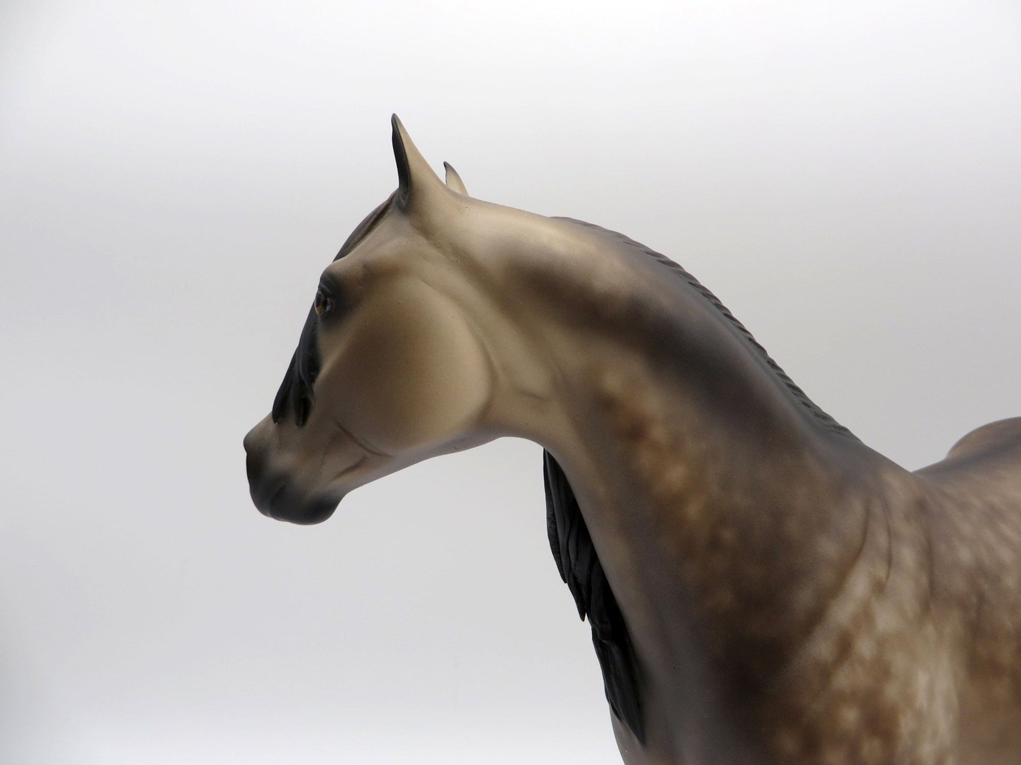 Reeses-OOAK Dapple Buckskin ISH Painted By Sheryl Leisure 6/14/21