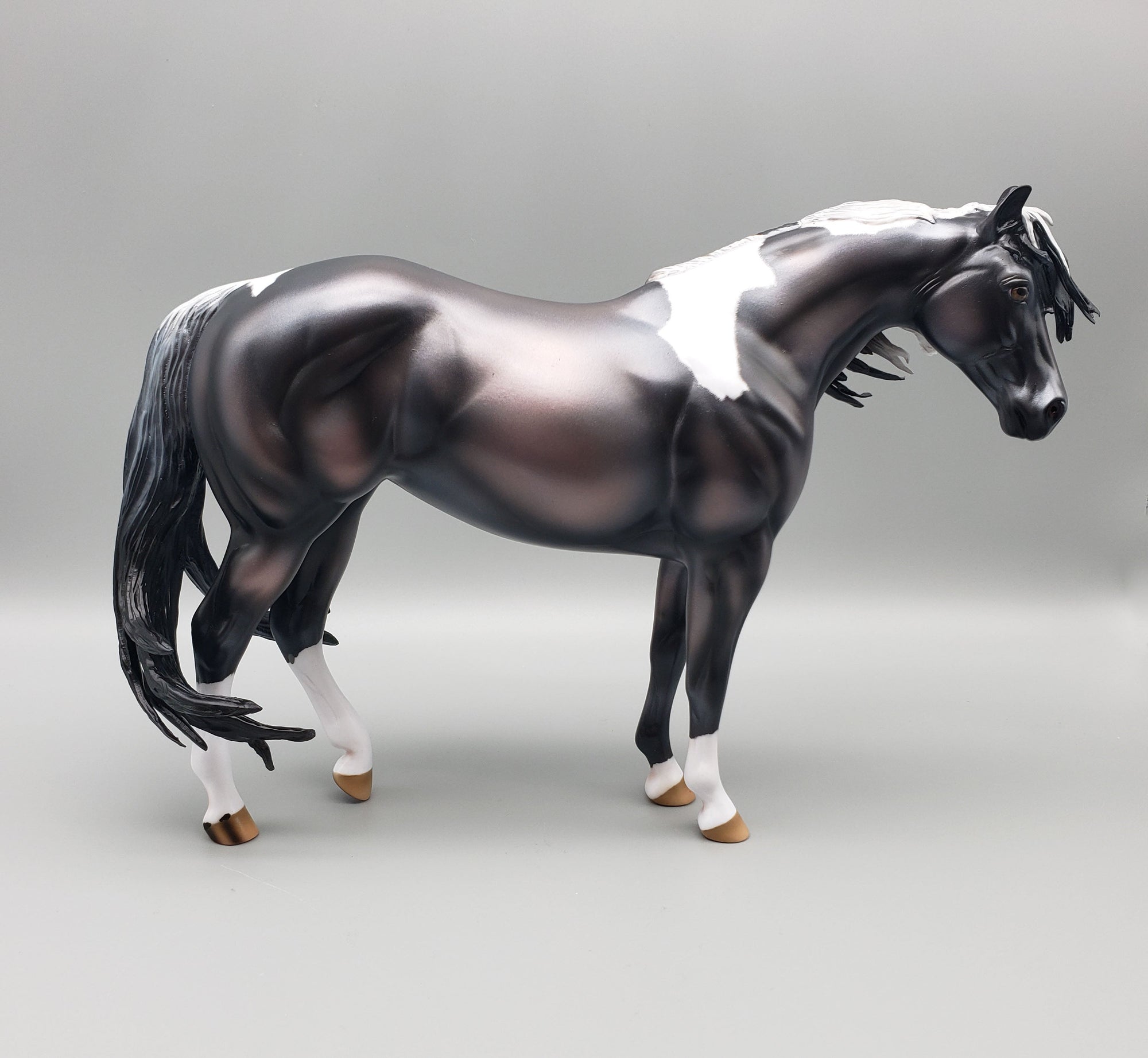 Reflection Of Stars Basket 6 Equilocity 2023 Black and White Mustang By Ashley Palmer  EQ23