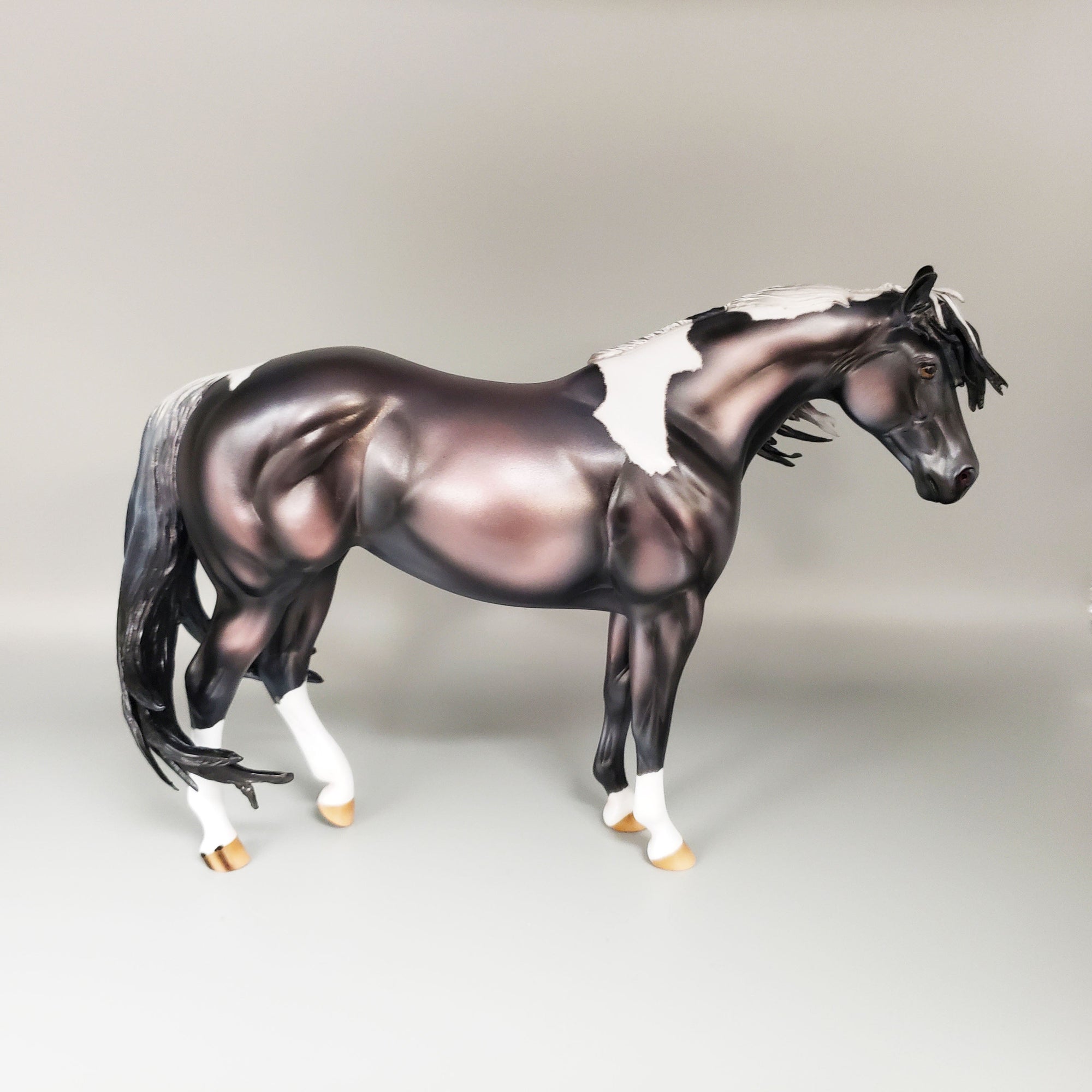 Reflection Of Stars Basket 6 Equilocity 2023 Black and White Mustang By Ashley Palmer  EQ23