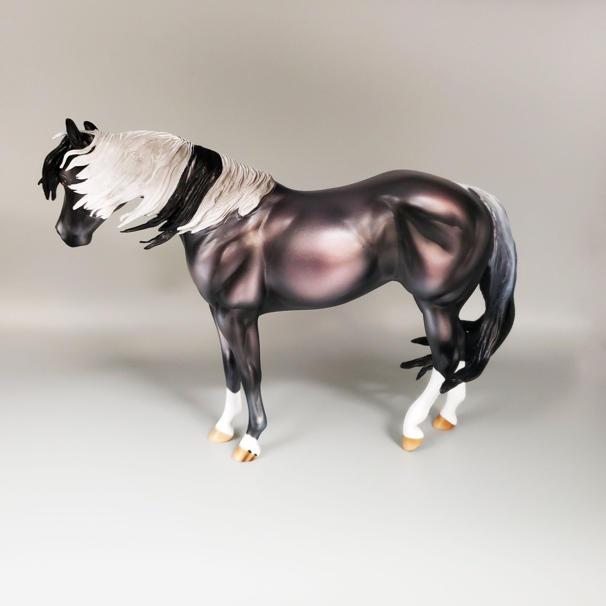 Reflection Of Stars Basket 6 Equilocity 2023 Black and White Mustang By Ashley Palmer  EQ23