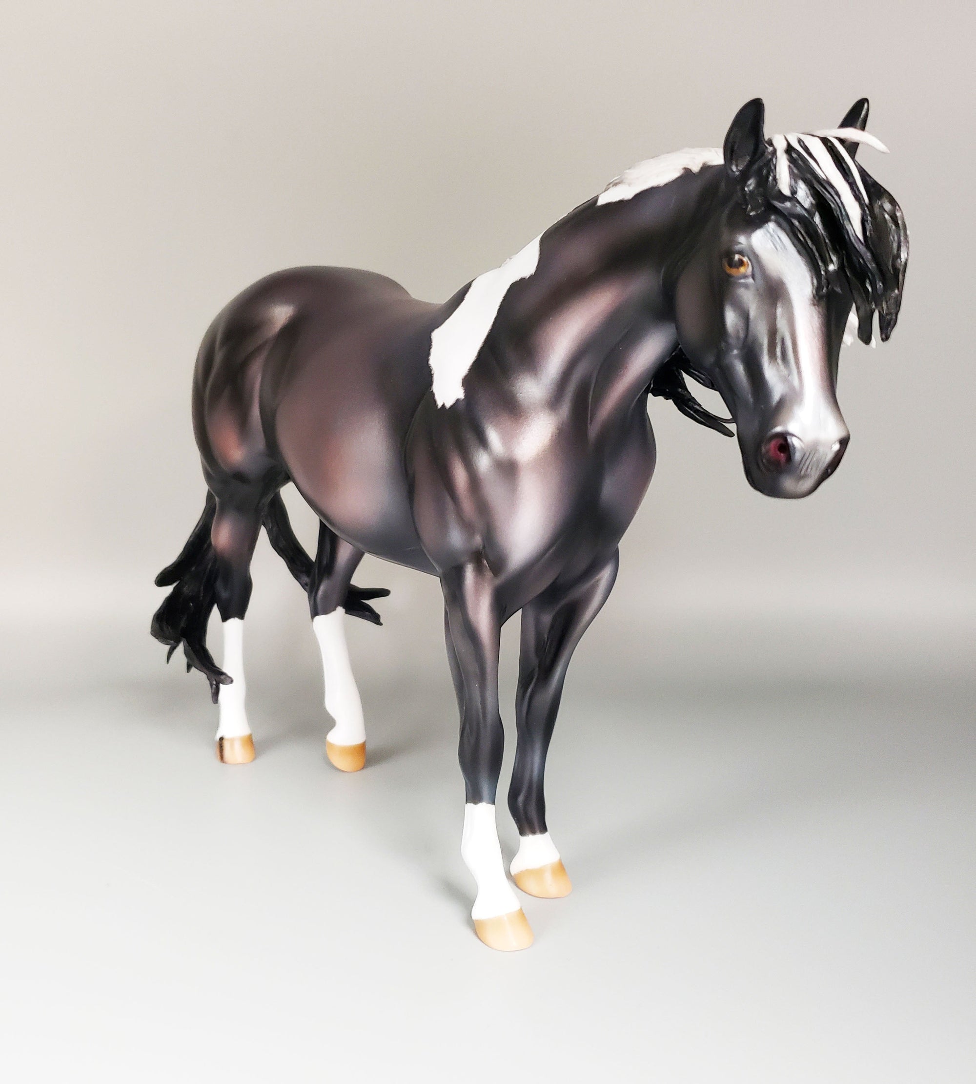 Reflection Of Stars Basket 6 Equilocity 2023 Black and White Mustang By Ashley Palmer  EQ23
