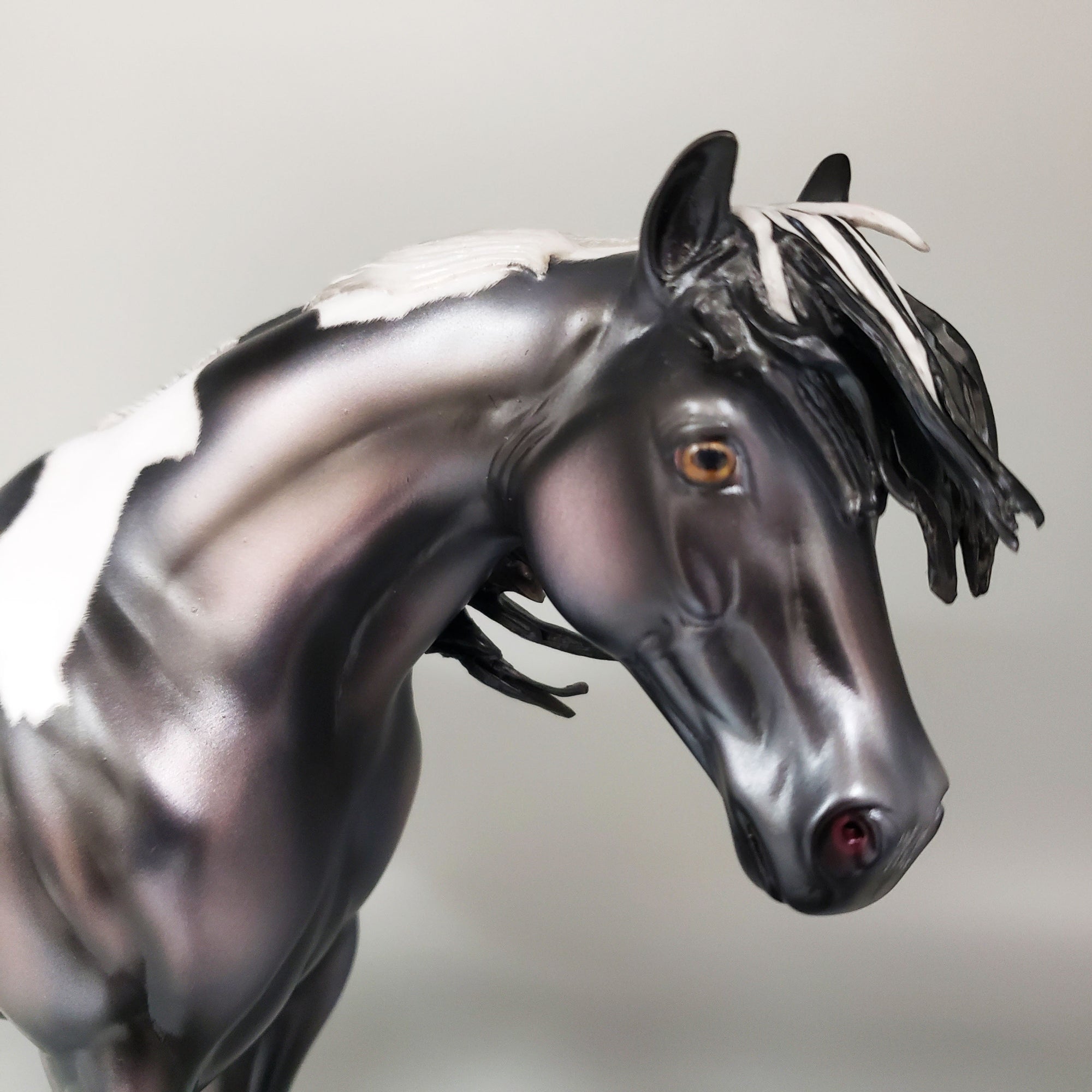Reflection Of Stars Basket 6 Equilocity 2023 Black and White Mustang By Ashley Palmer  EQ23