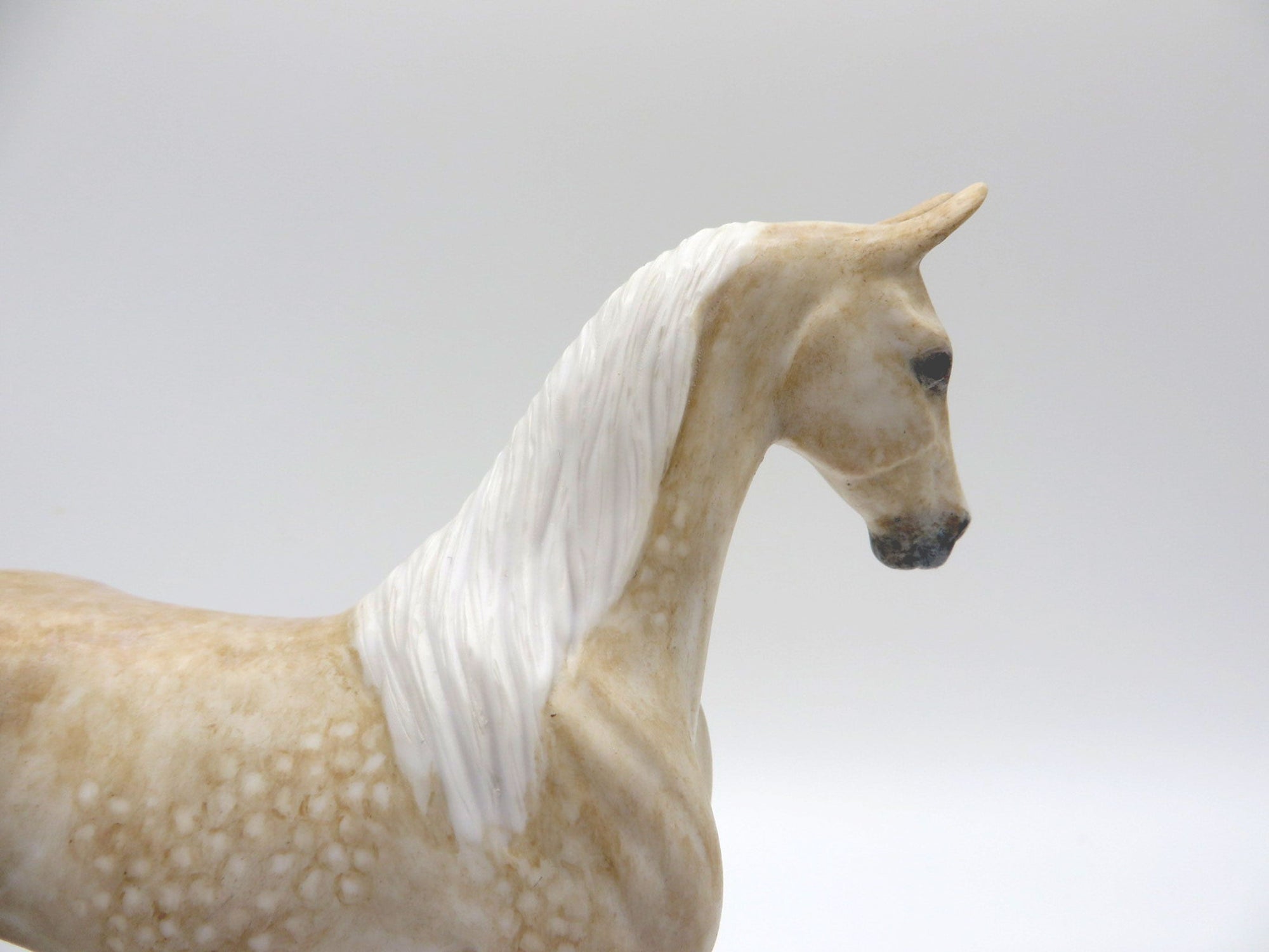 Regal Lady-OOAK Dapple Palomino Saddlebred Pebbles Painted By Andrea EQ 21