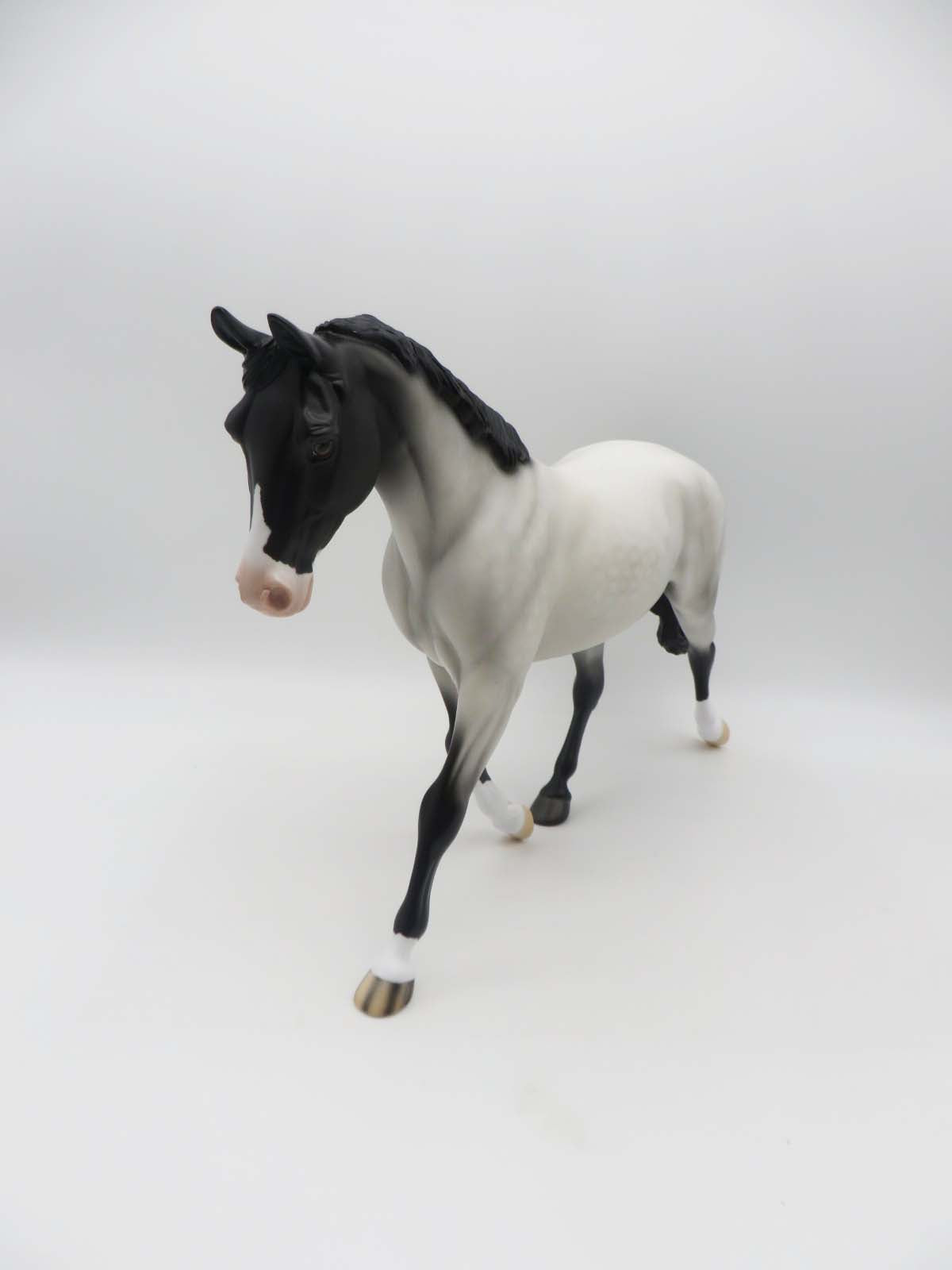 Reilly- OOAK - Customized Blue Roan Palouse By Angela Marleau - SHCF23