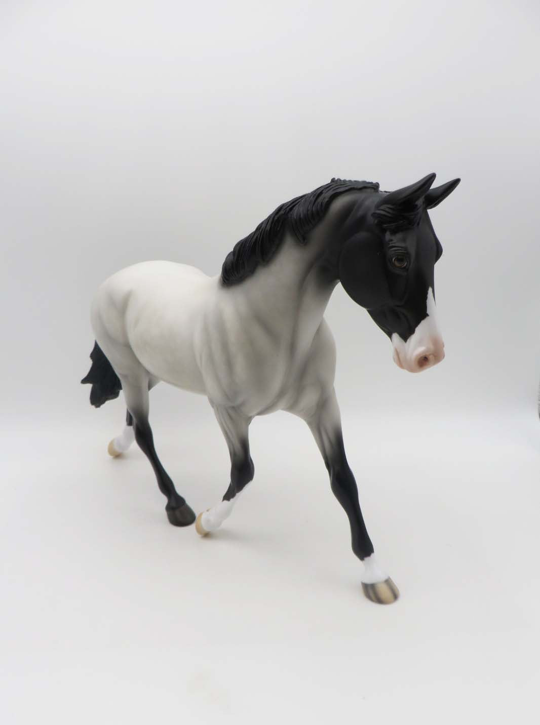 Reilly- OOAK - Customized Blue Roan Palouse By Angela Marleau - SHCF23