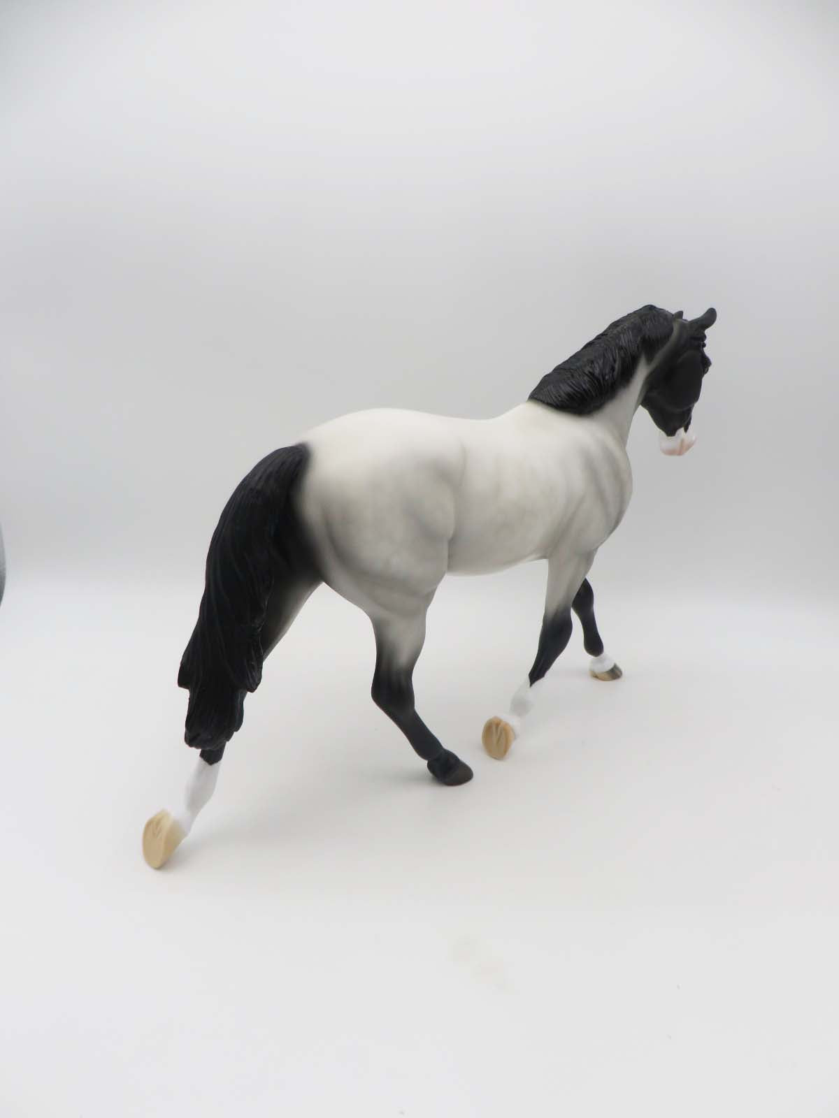 Reilly- OOAK - Customized Blue Roan Palouse By Angela Marleau - SHCF23