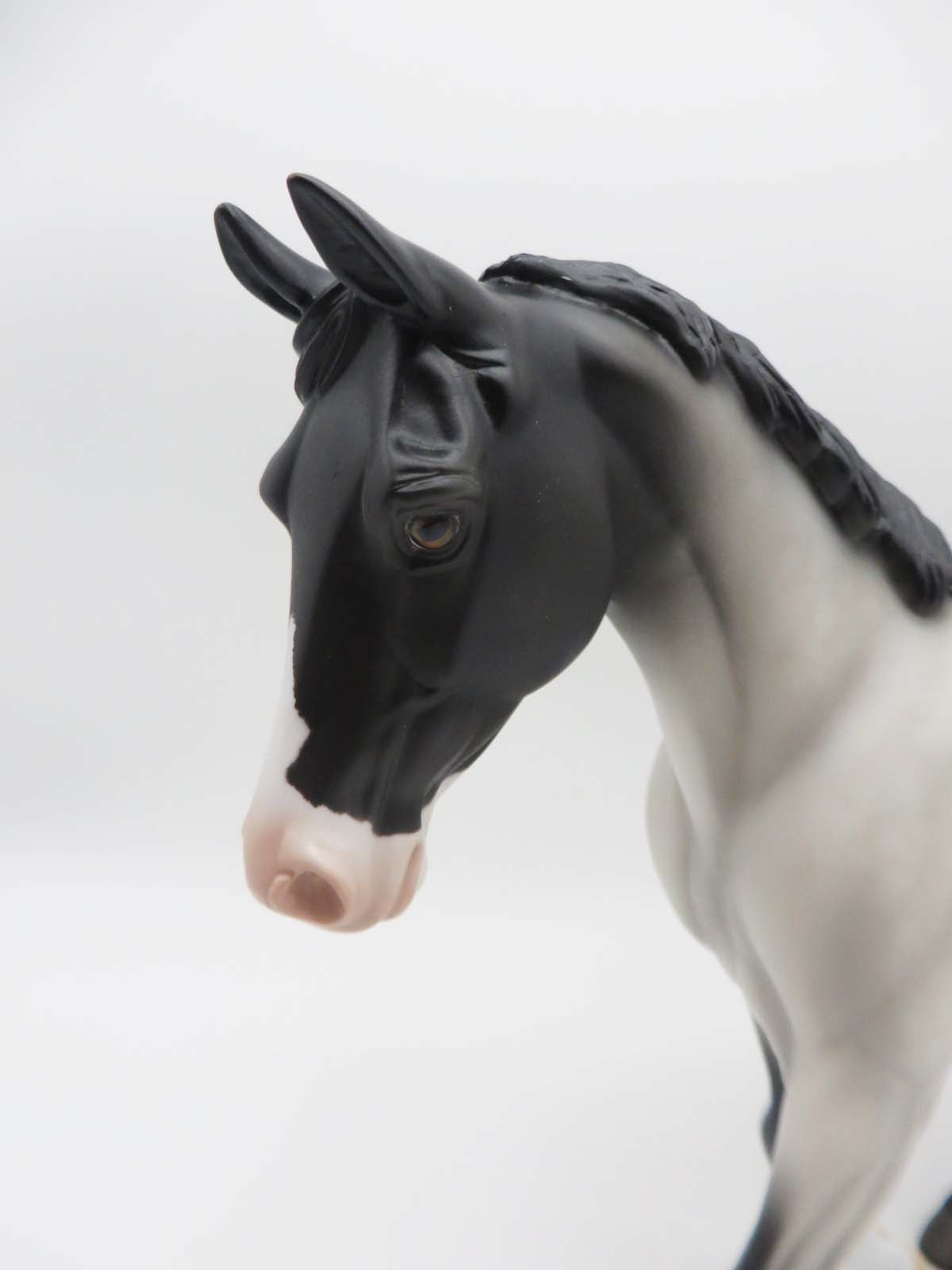 Reilly- OOAK - Customized Blue Roan Palouse By Angela Marleau - SHCF23