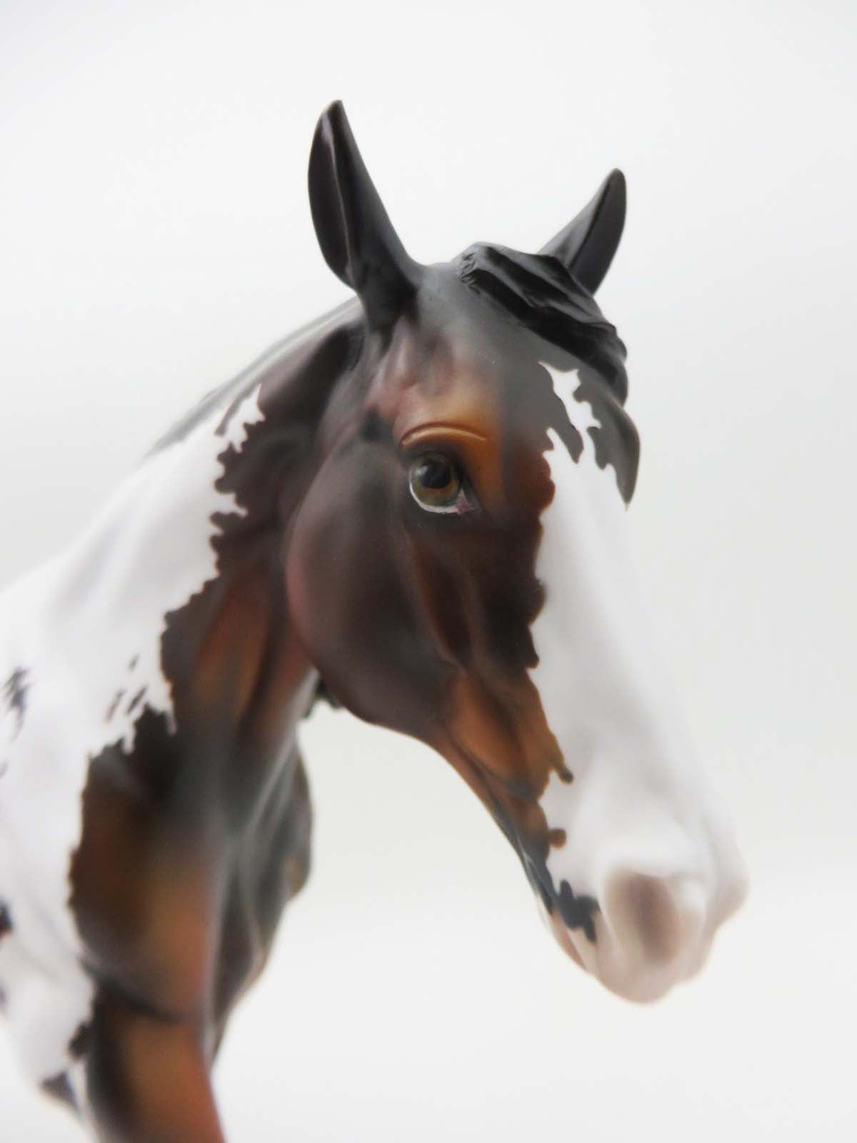 Rem Sleep - OOAK - Bay Pinto Running Stock Horse By Dawn Quick - SHCF23