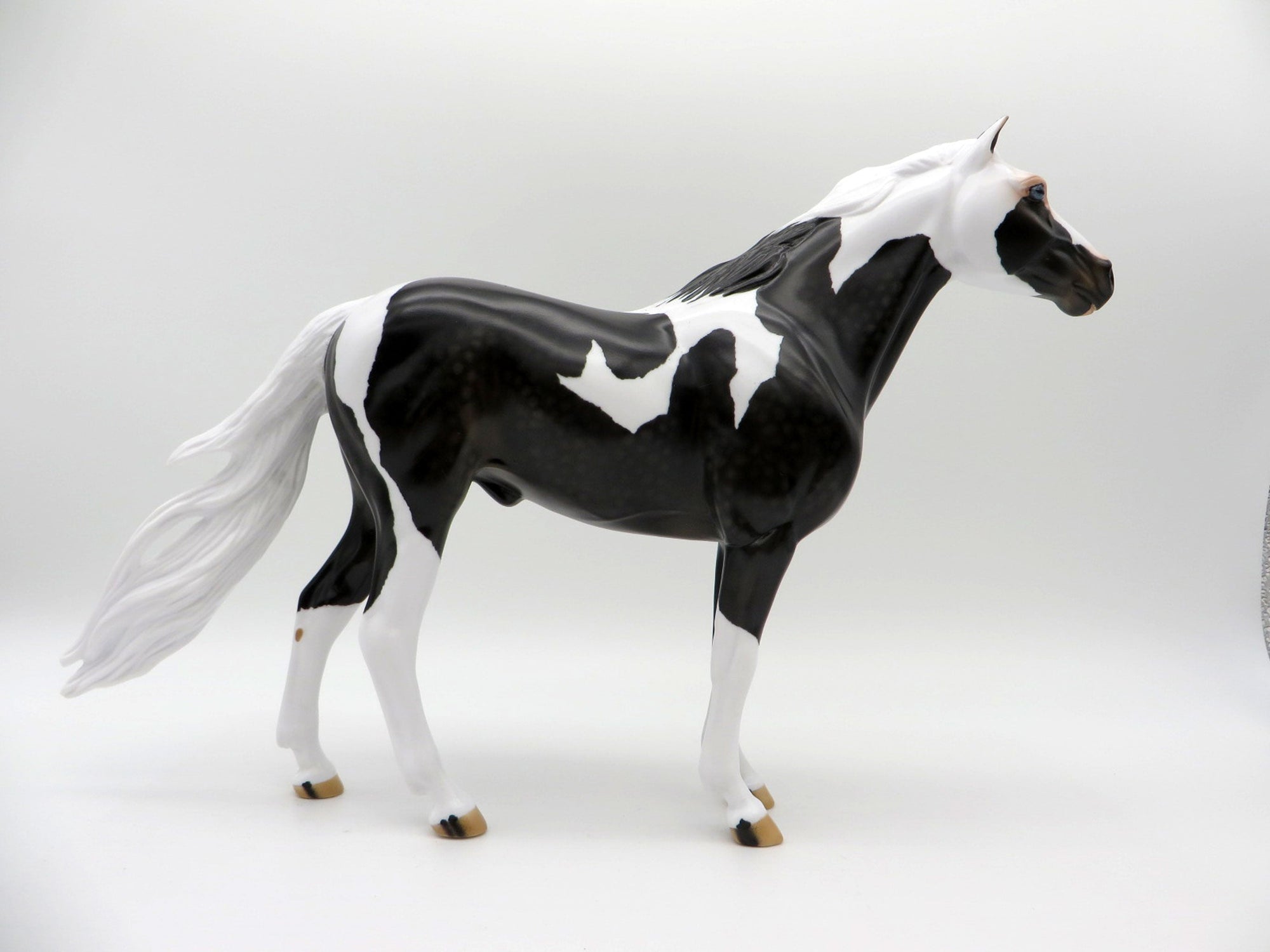 Renegade-OOAK Dapple Black Pinto Mustang SHCF 2021